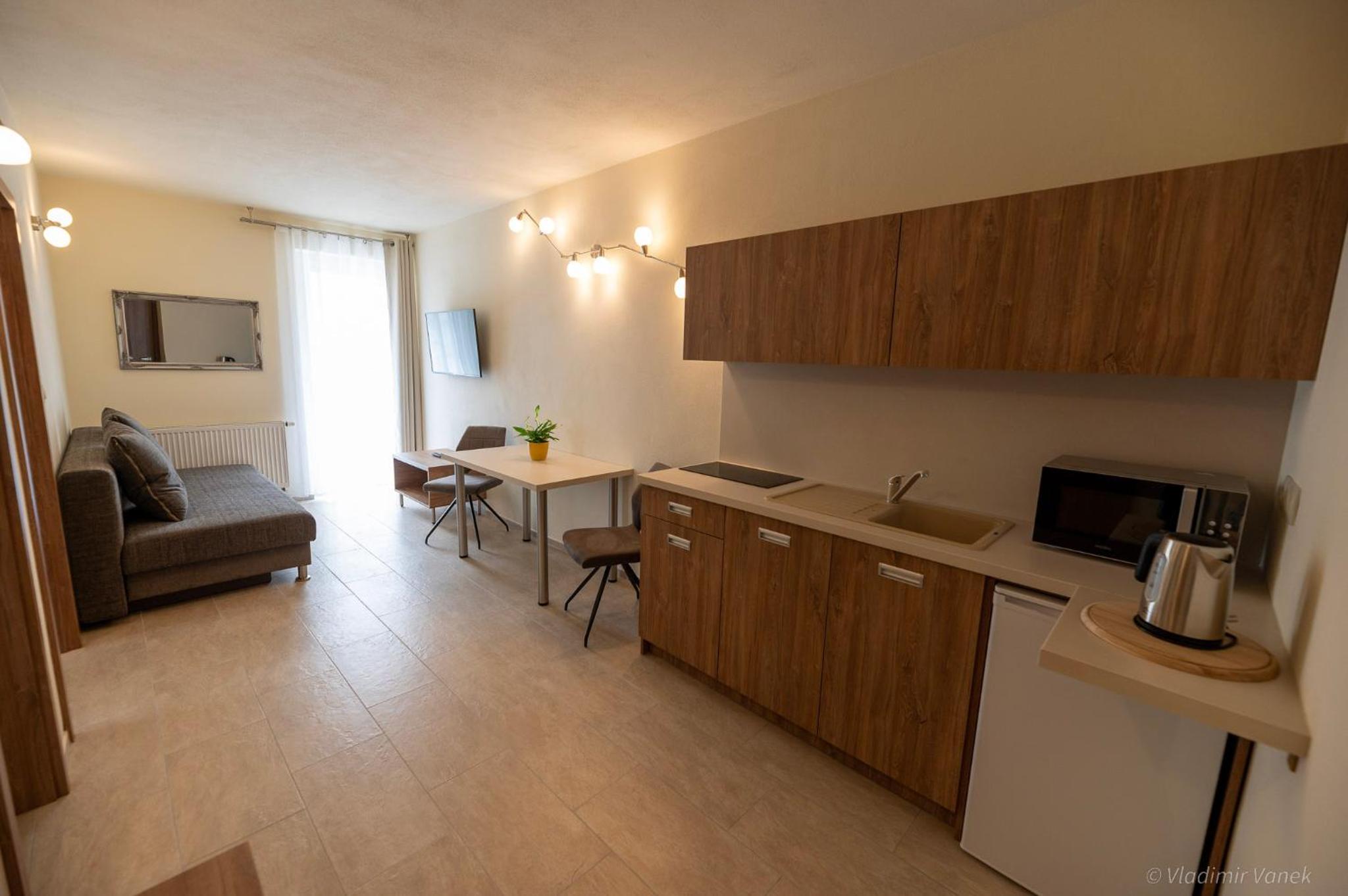 One-Bedroom Apartment - Photo 2