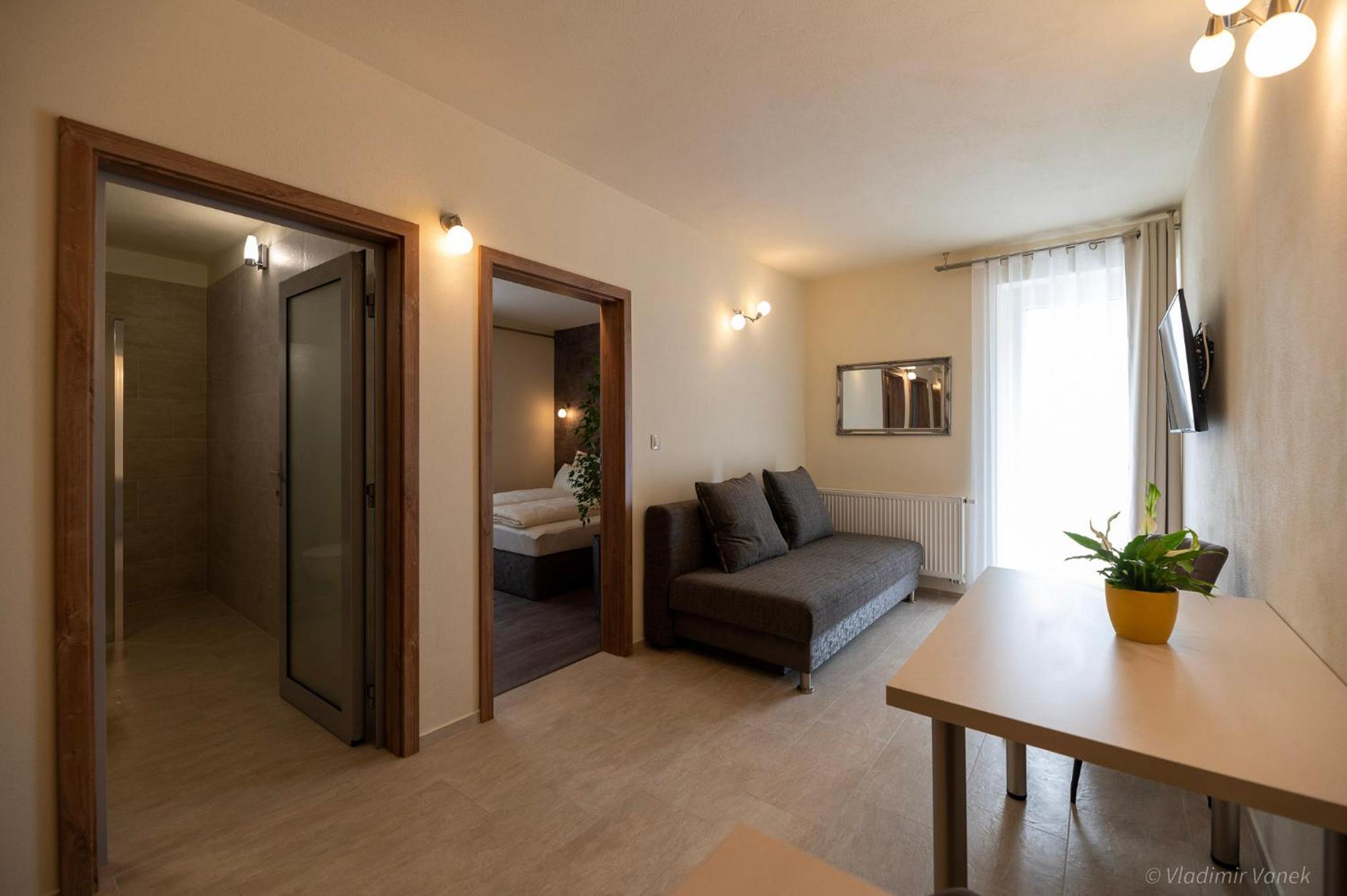 One-Bedroom Apartment - Photo 4
