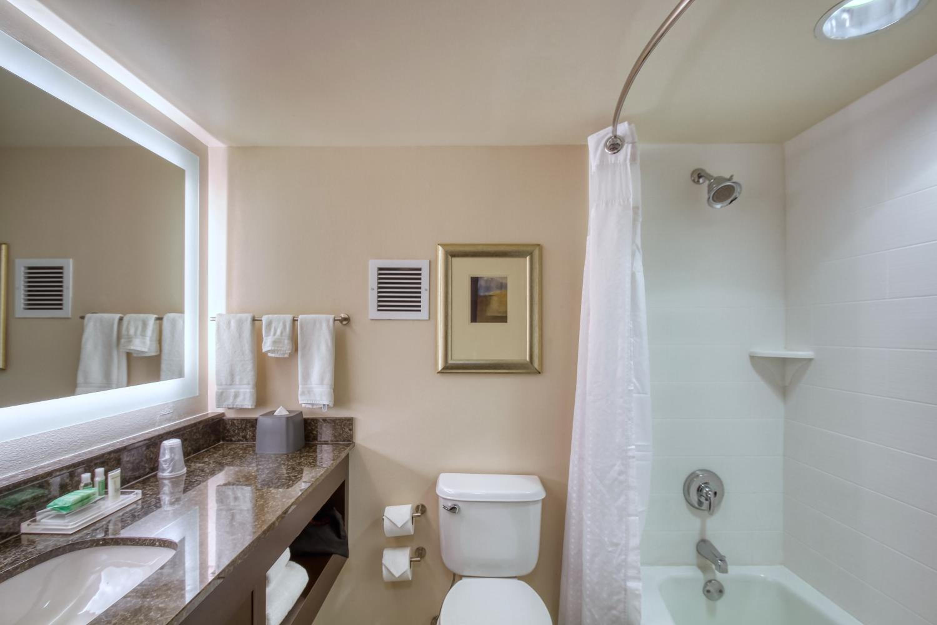 Standard King Room - Photo 6