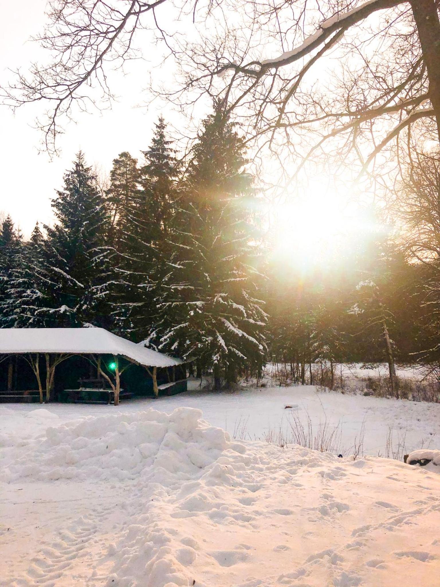 Chalet photo 3