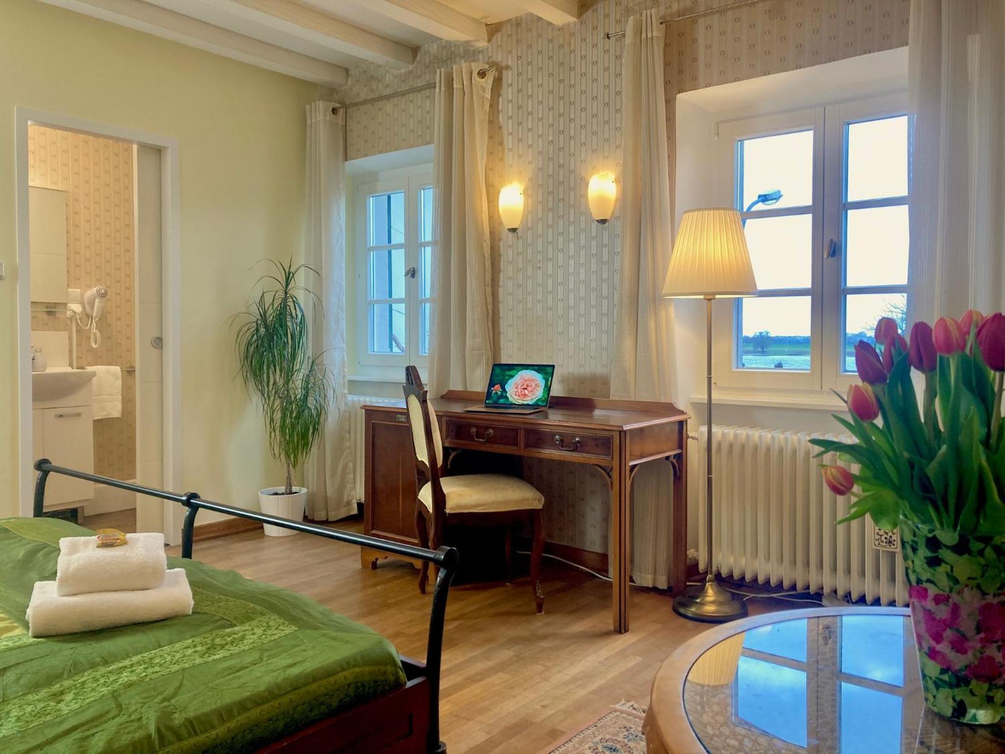 Double Room with Rhein view photo 1