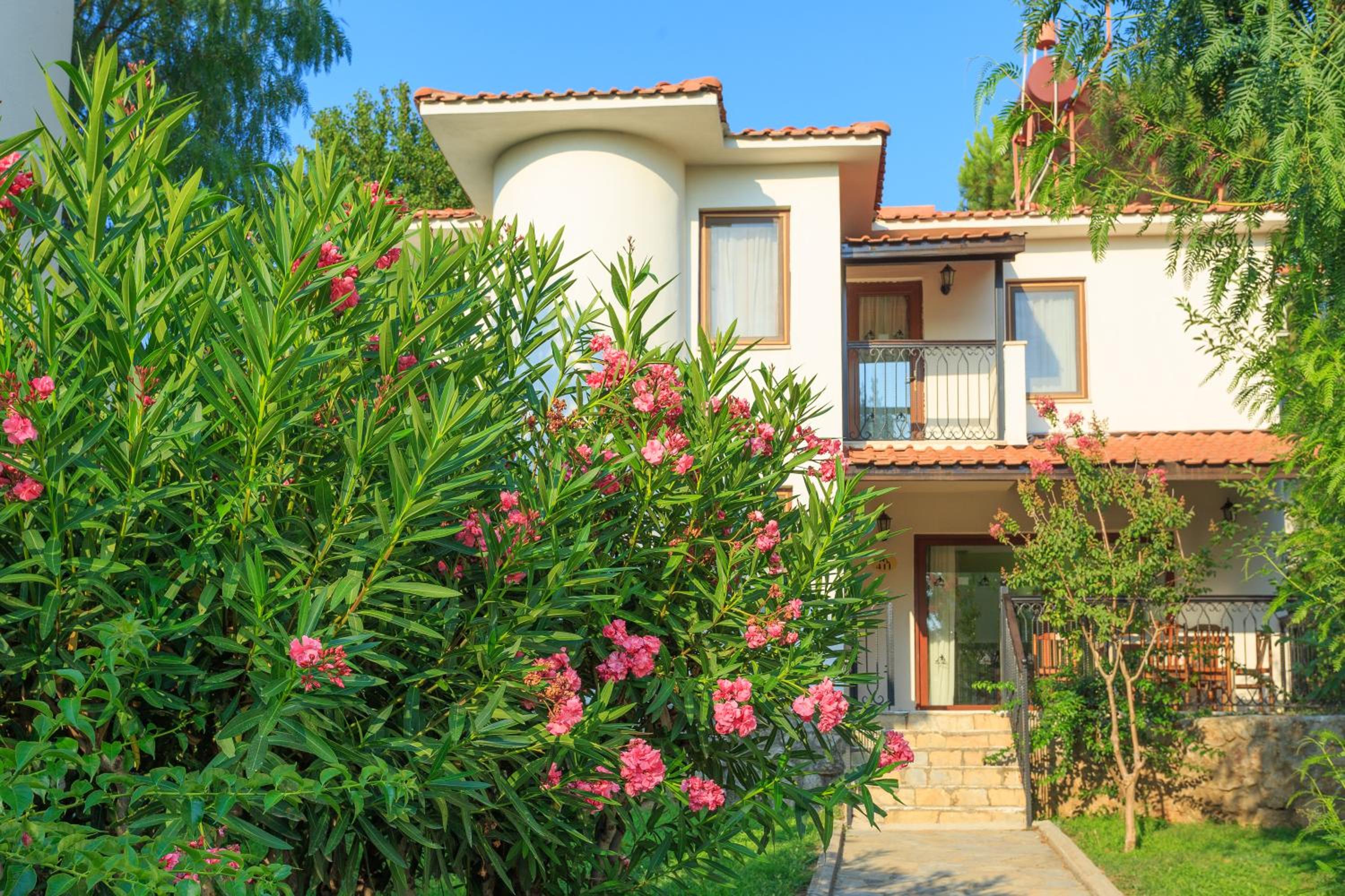 Three-Bedroom Villa - Photo 7