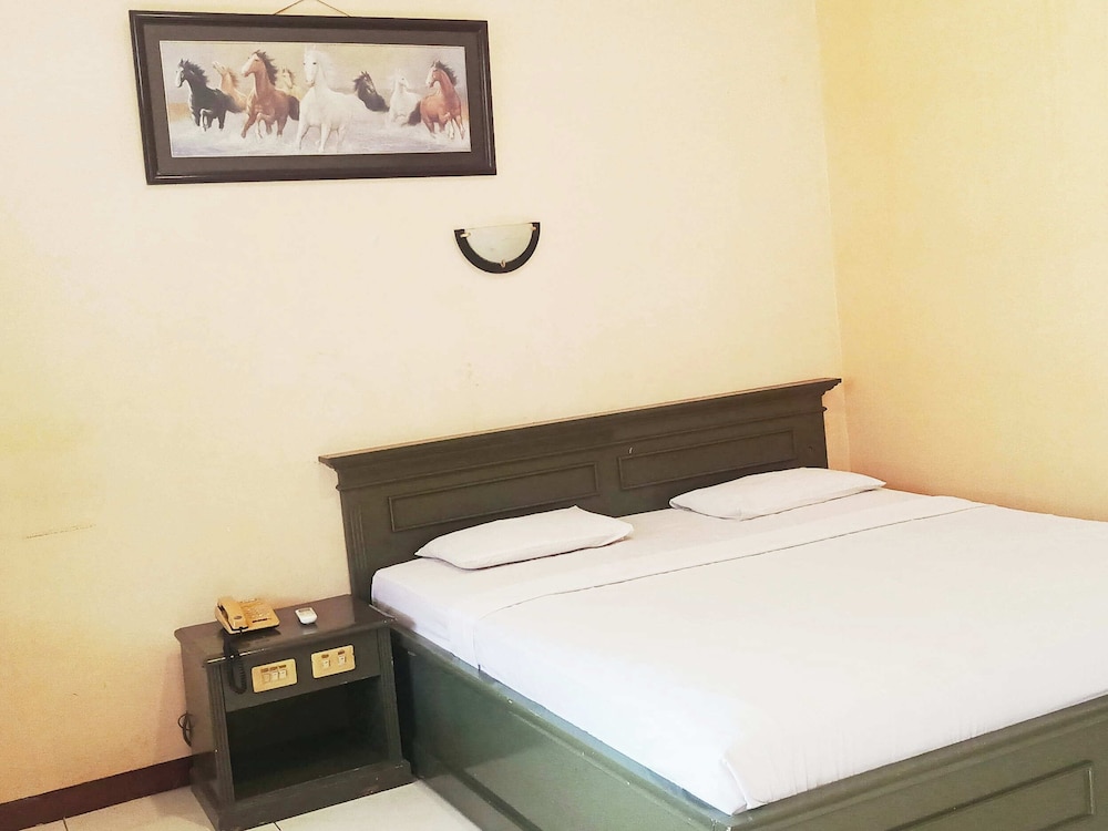 Deluxe Double Room photo 1