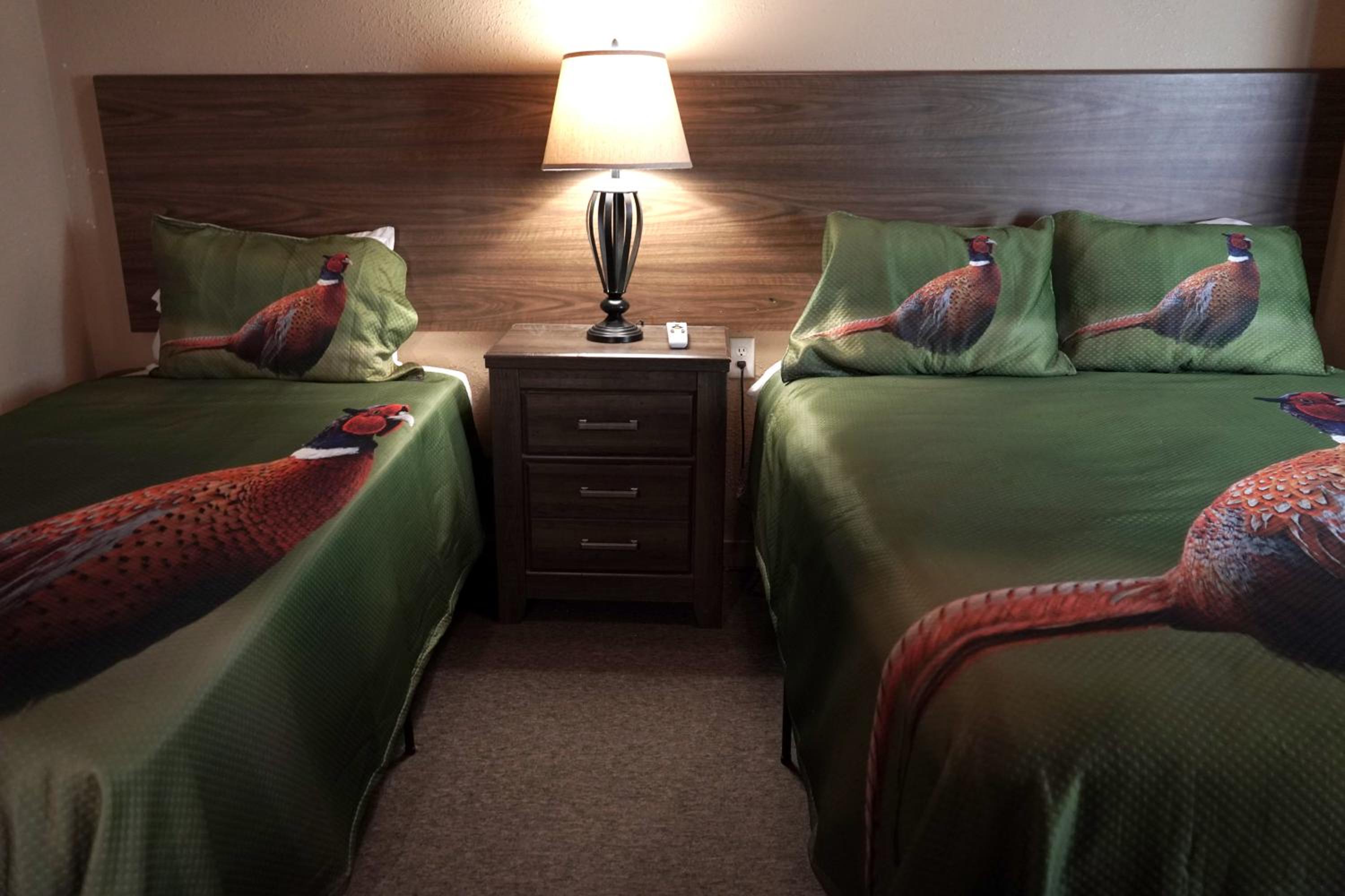 Double Room with Shared Bathroom photo 1