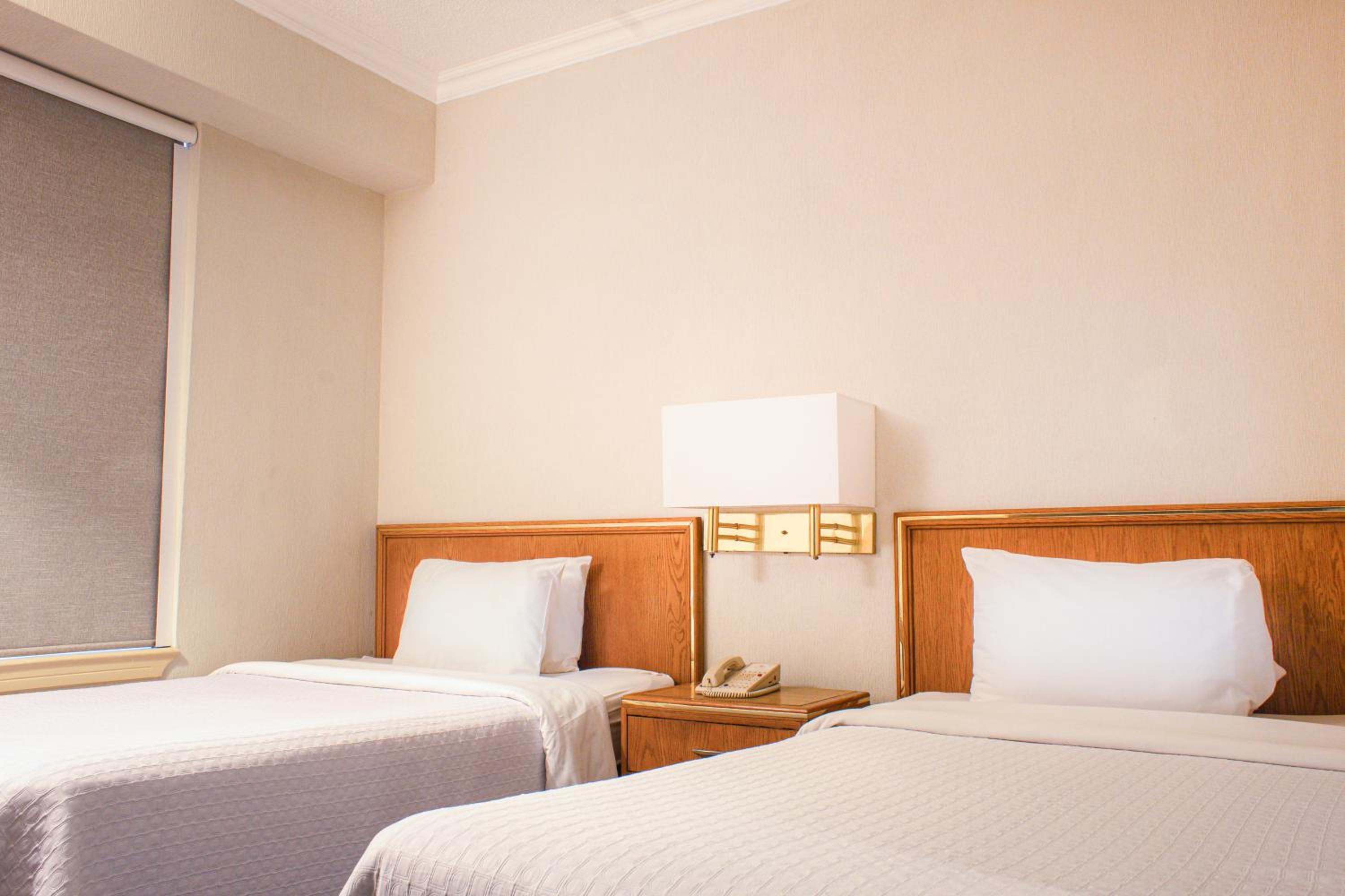 Double Room with Two Double Beds photo 3