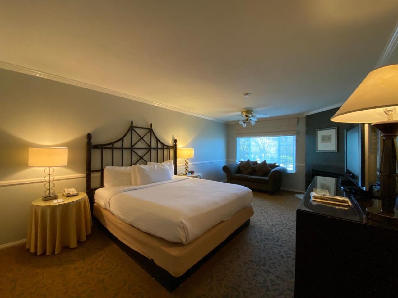 Deluxe King Room - Photo 6