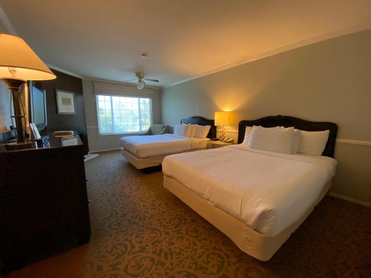 Deluxe Two Queens Room - Photo 4