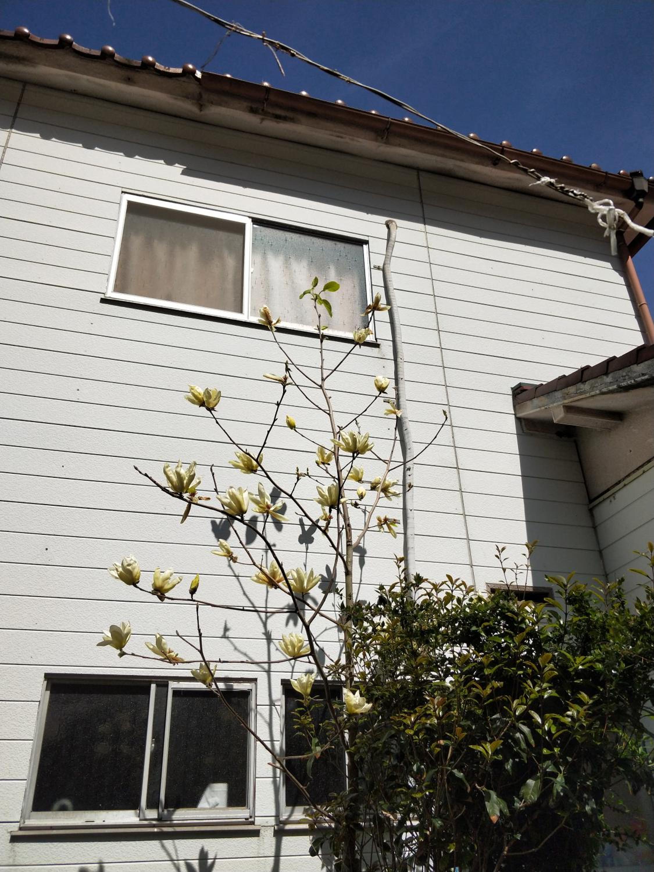 Triple Room with Sea View - Photo 58
