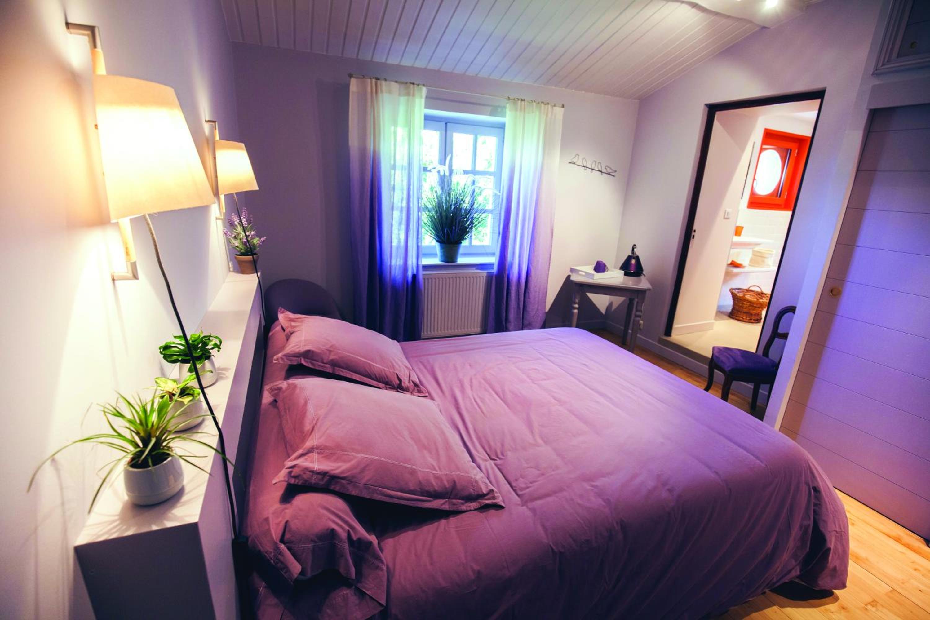 Two-Bedroom Suite photo 1