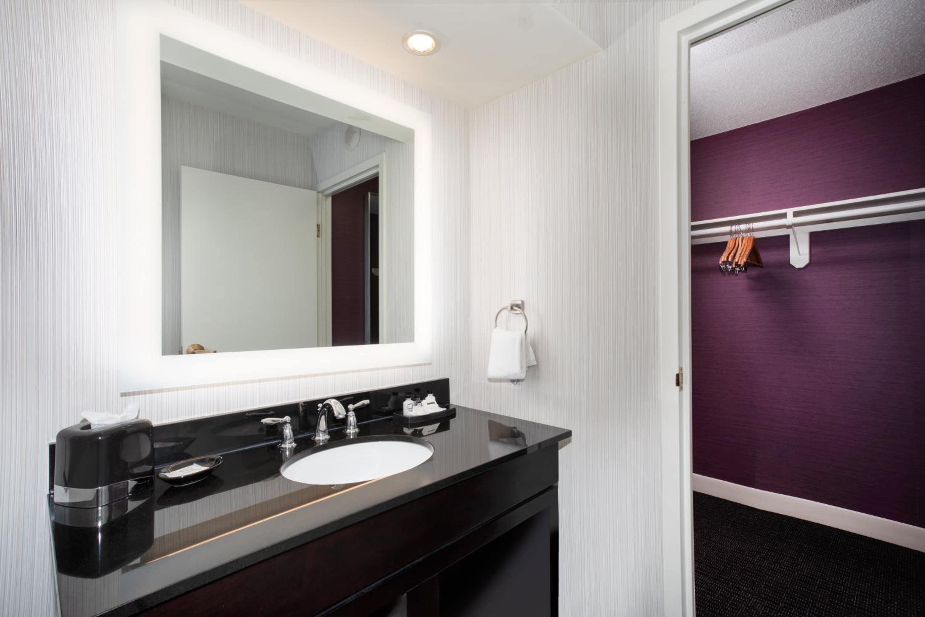 One-Bedroom King Suite with City View - Photo 3
