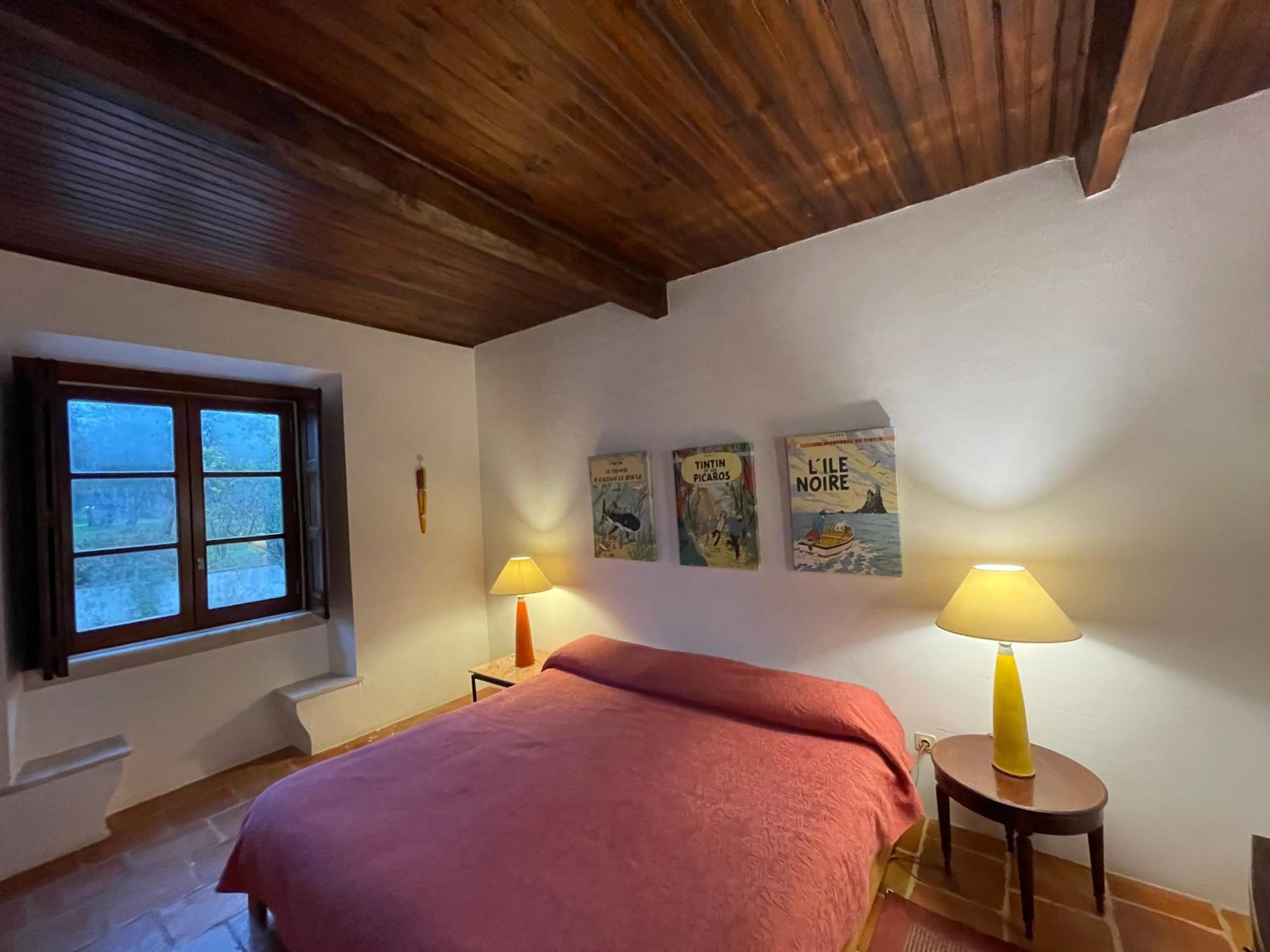 Suite - Photo 2