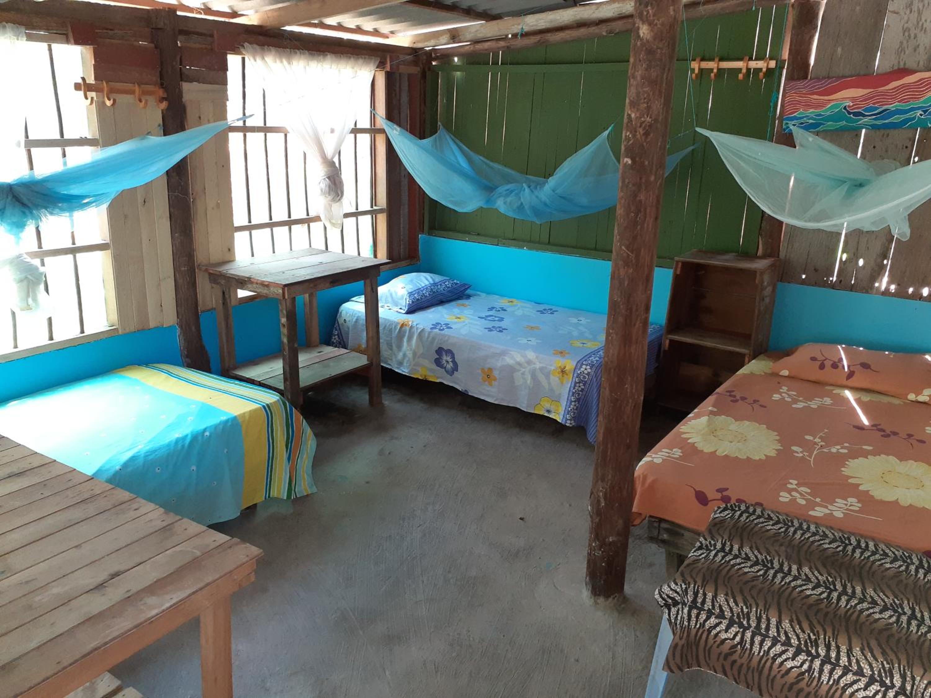 Mixed Dormitory Room photo 1