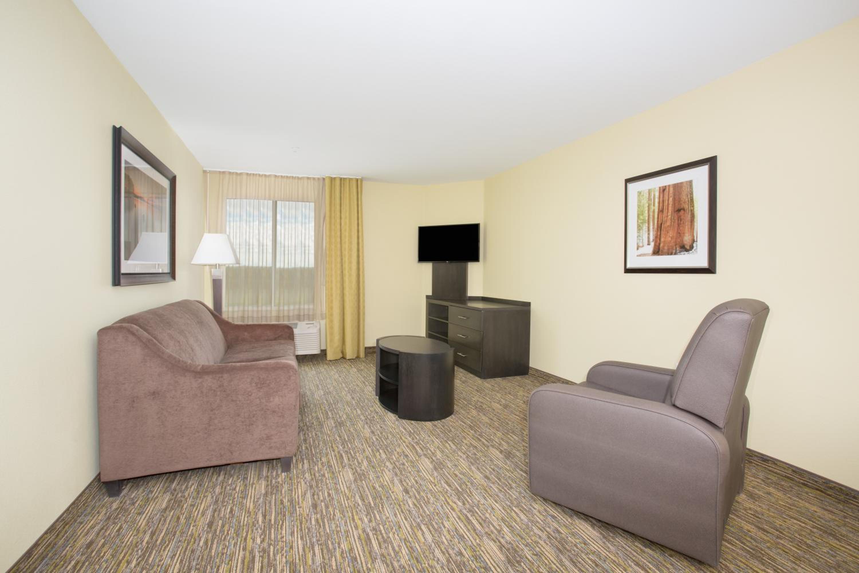 One-Bedroom Suite photo 2