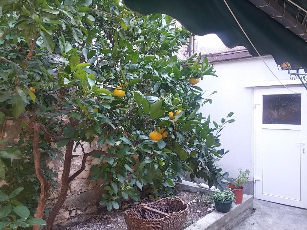 Apartment with Sea View photo 2