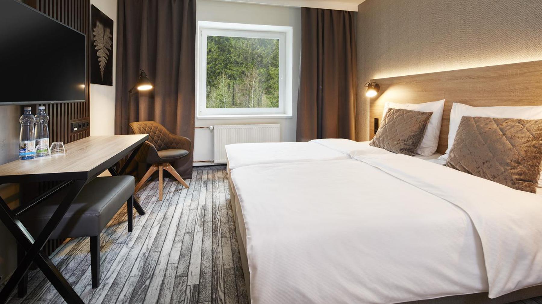 Deluxe Double or Twin Room photo 2