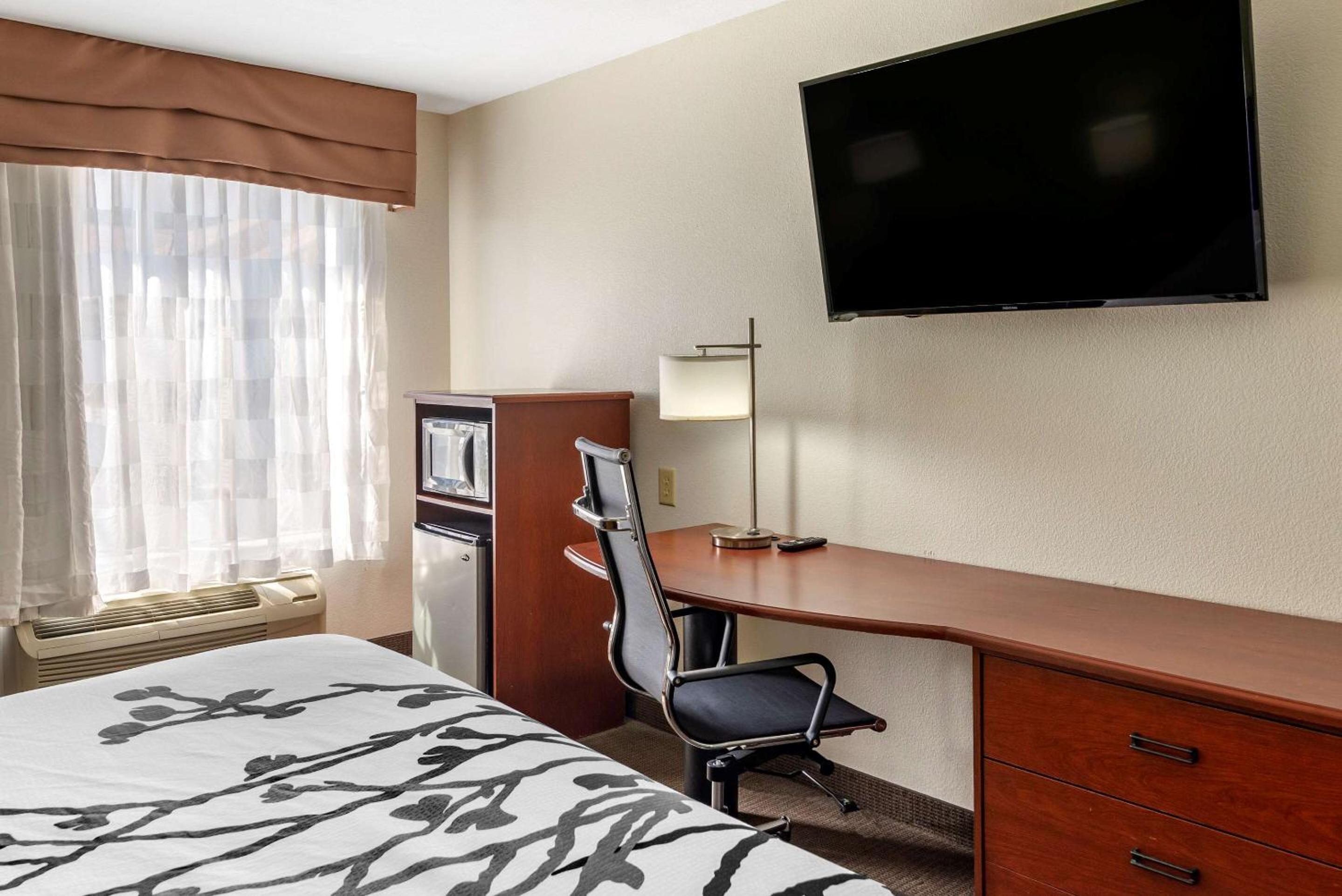 King Room - Non-Smoking - Photo 2
