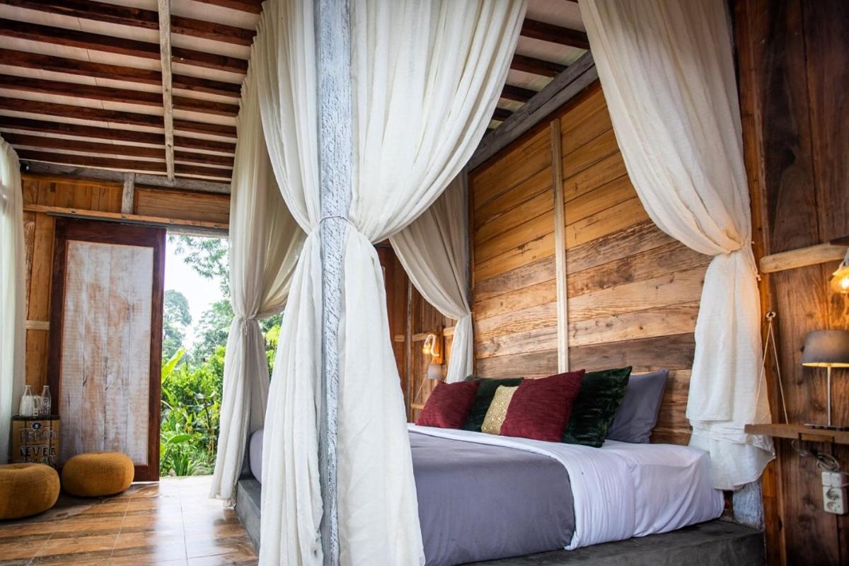King Room with Mountain View photo 1