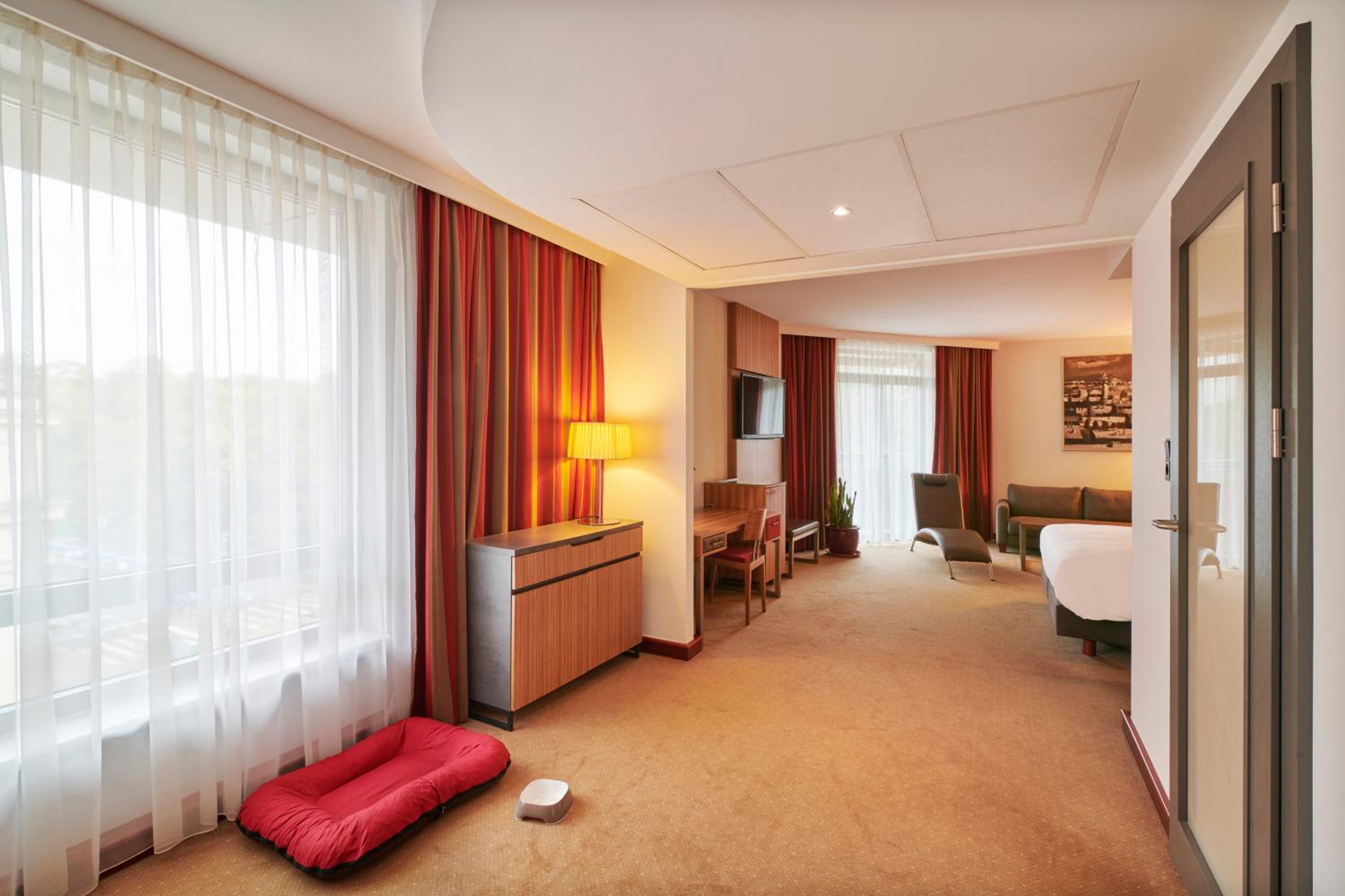 Junior Suite - Photo 4