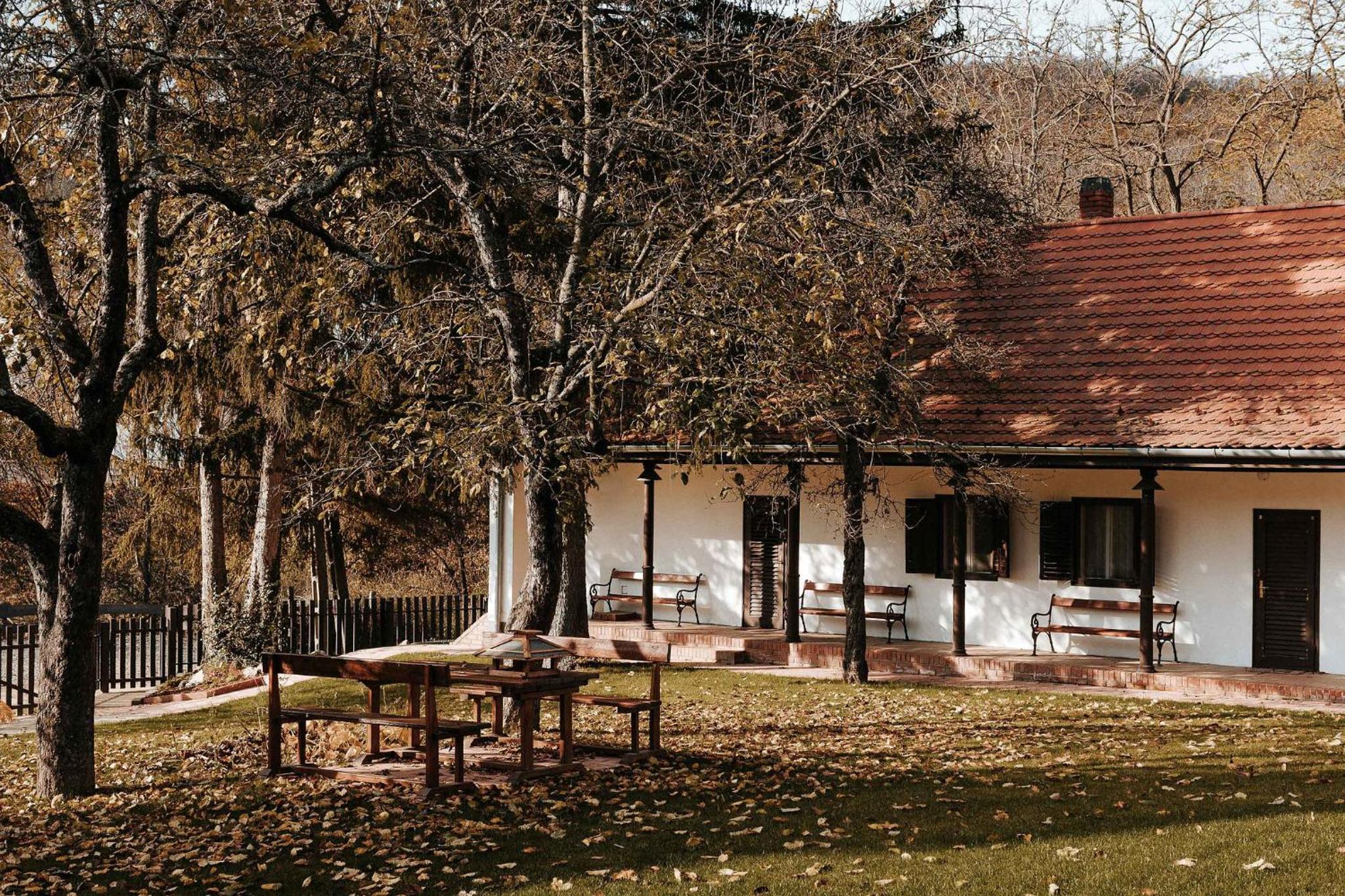 Superior Chalet photo 3