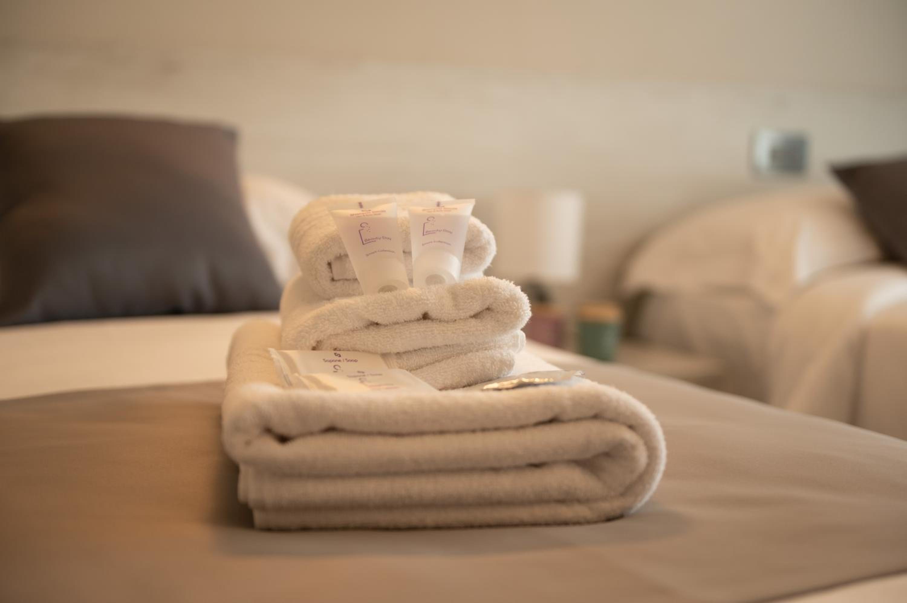 Deluxe Double or Twin Room photo 2