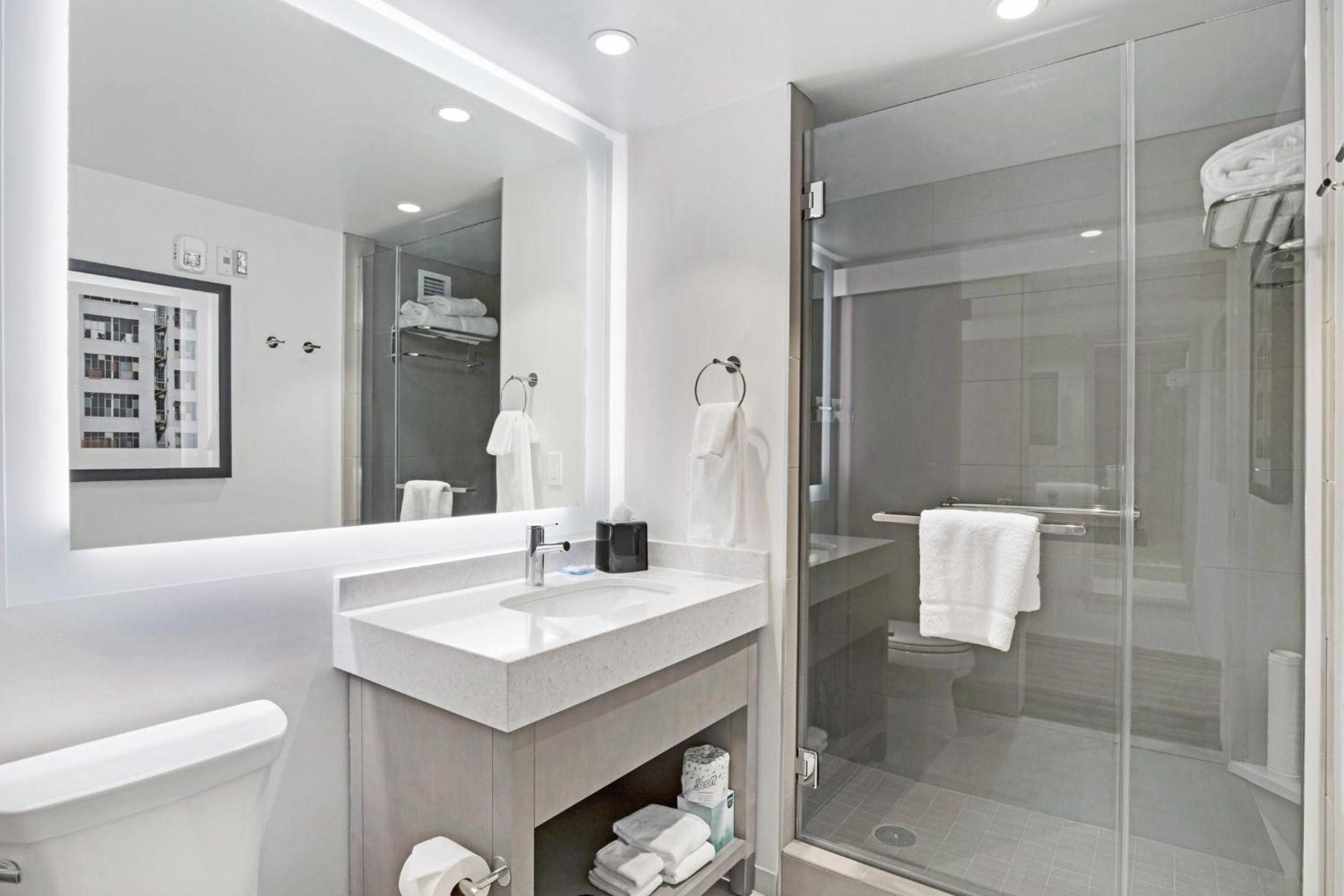 One-Bedroom King Suite with Sofa Bed and Kitchen