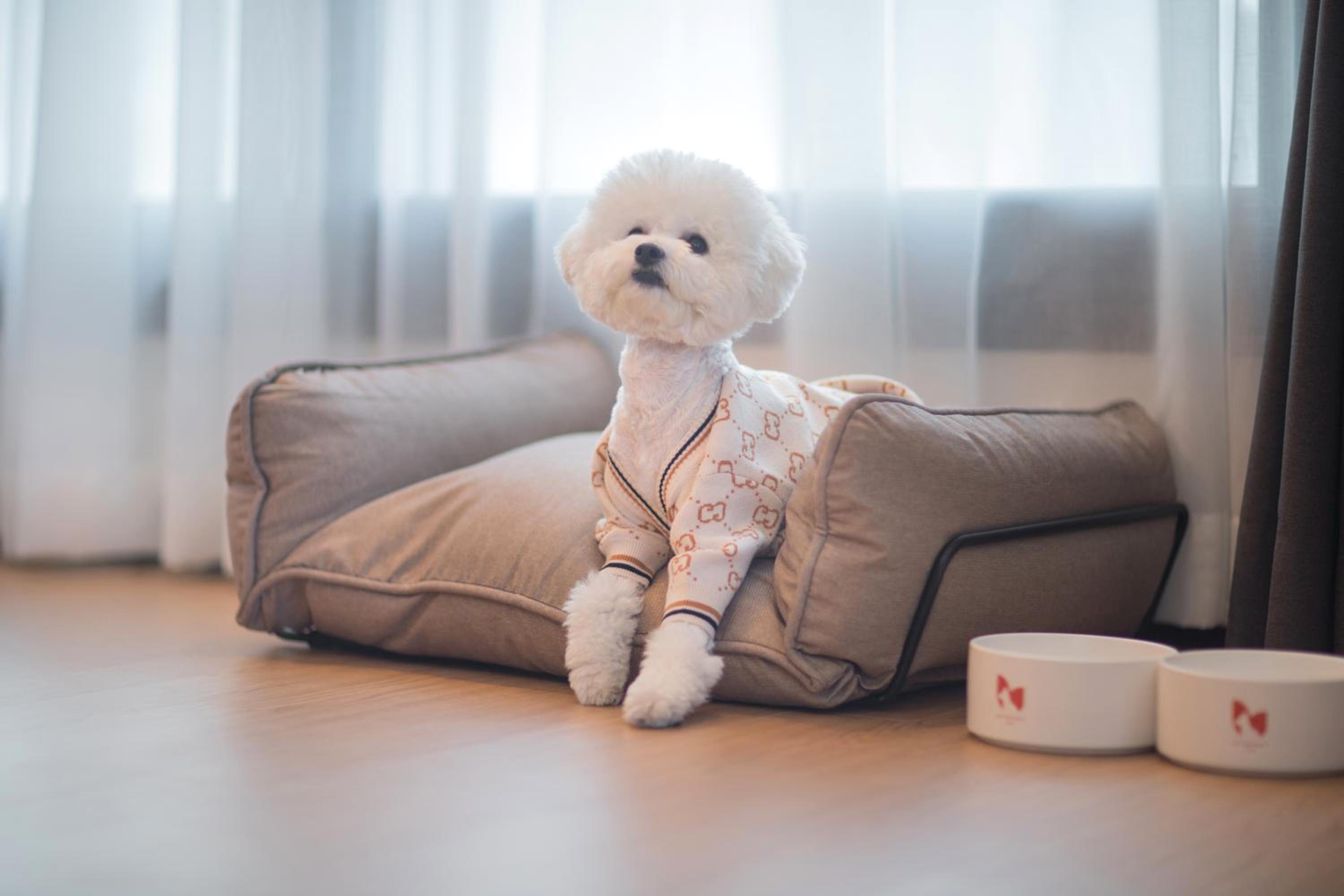 Double Room With Pet-Friendly - Photo 7