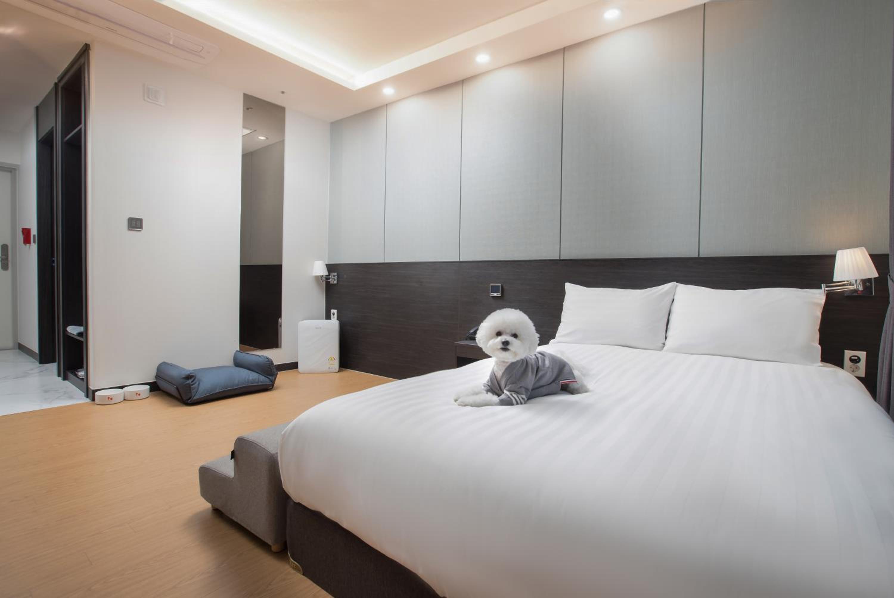 Double Room With Pet-Friendly - Photo 6