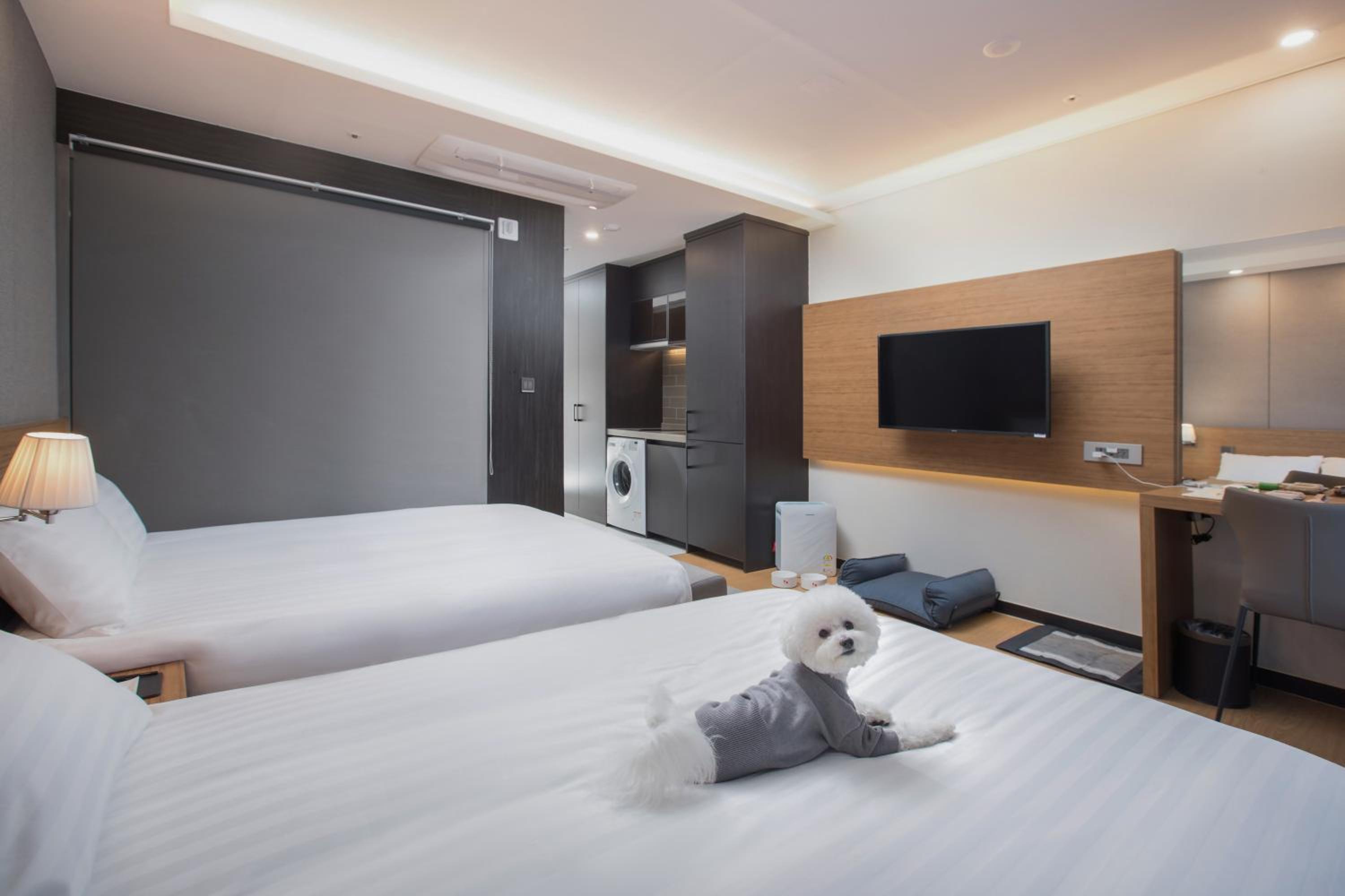 Twin Room With Pet-Friendly - Photo 4