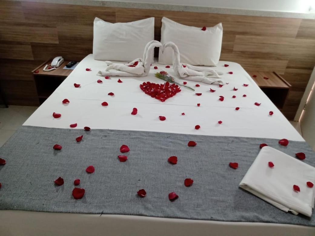 Double or Twin Room - Photo 9