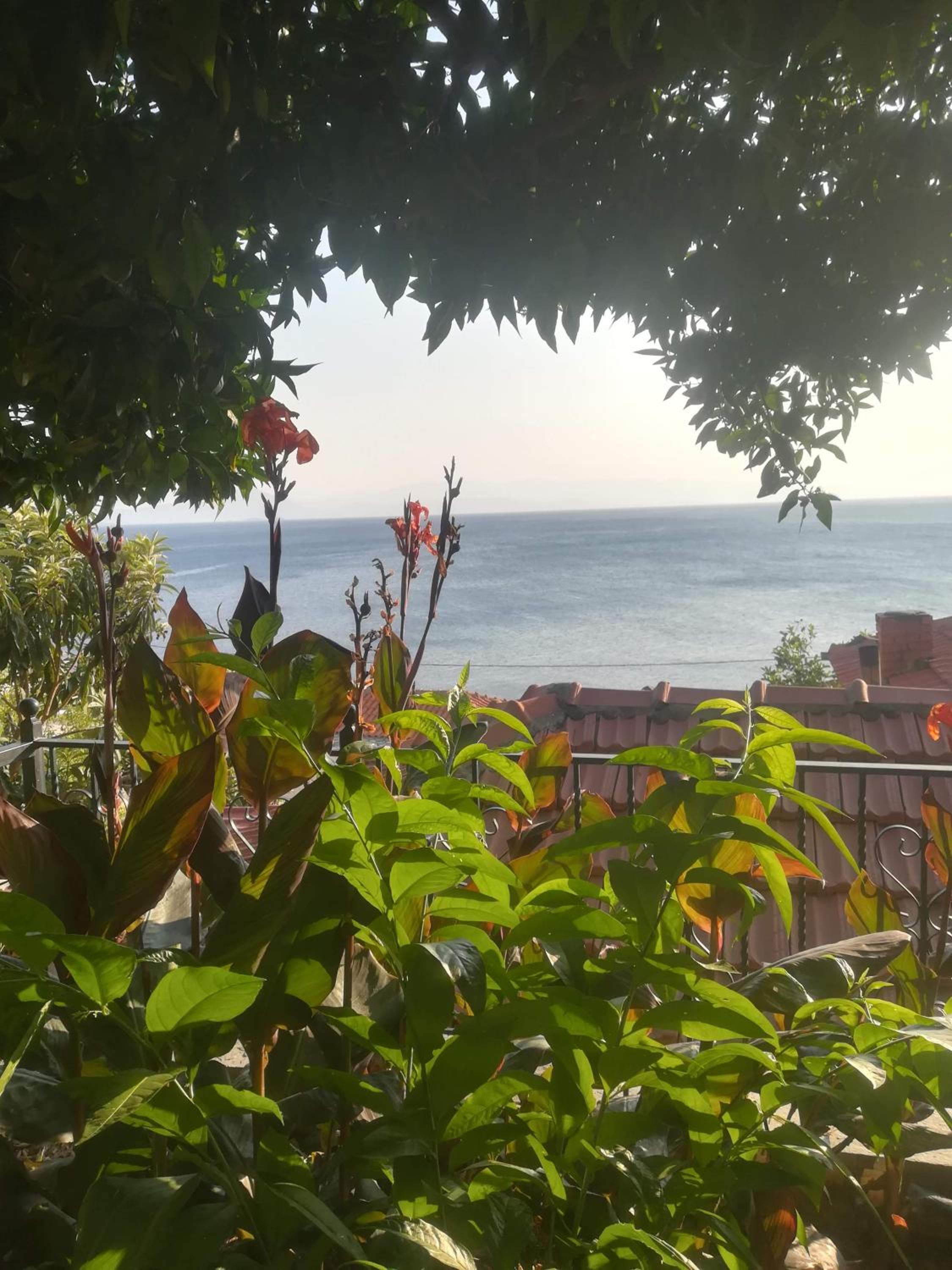 Double Room with Garden View - Photo 3