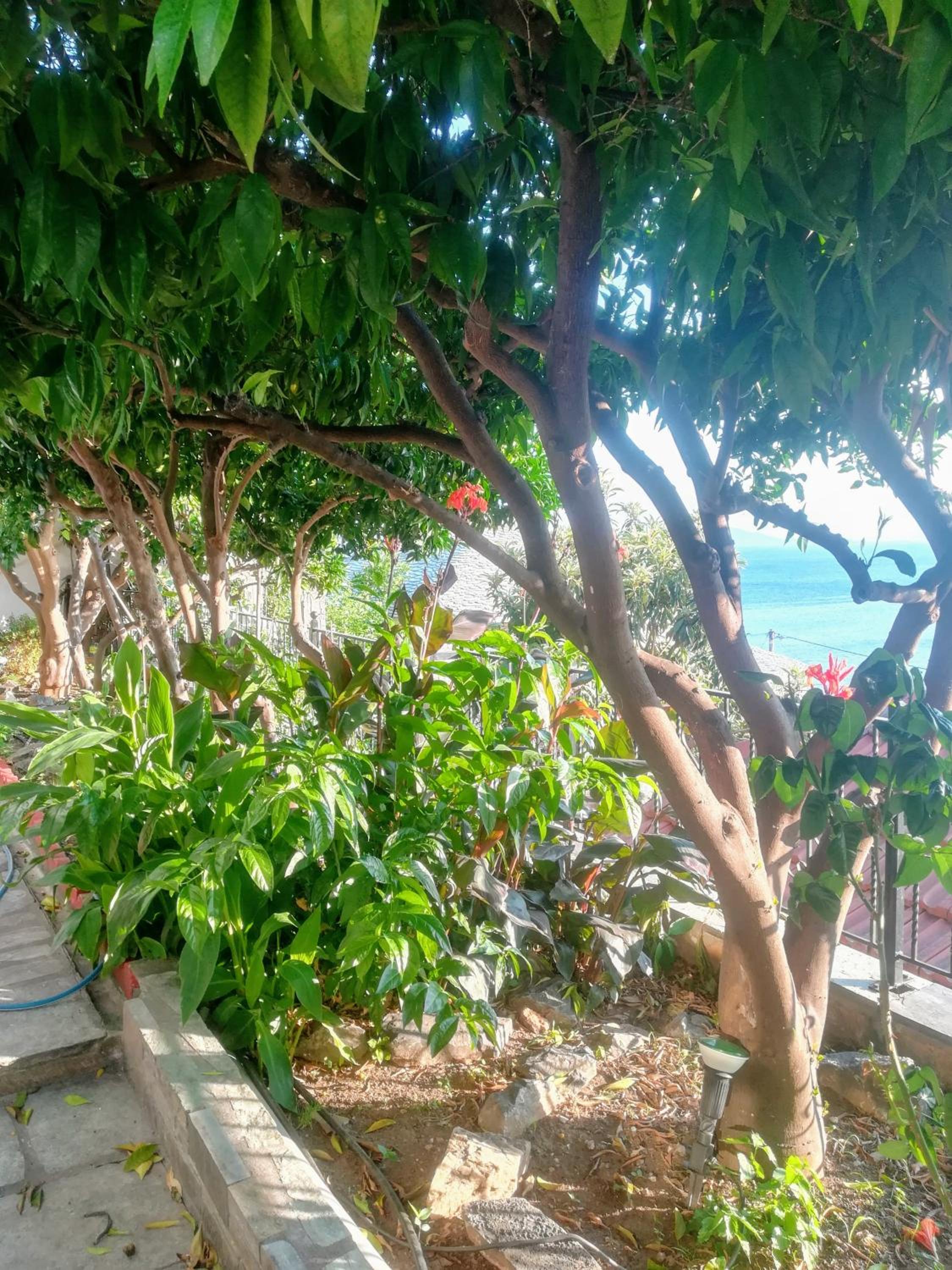 Double Room with Garden View - Photo 5