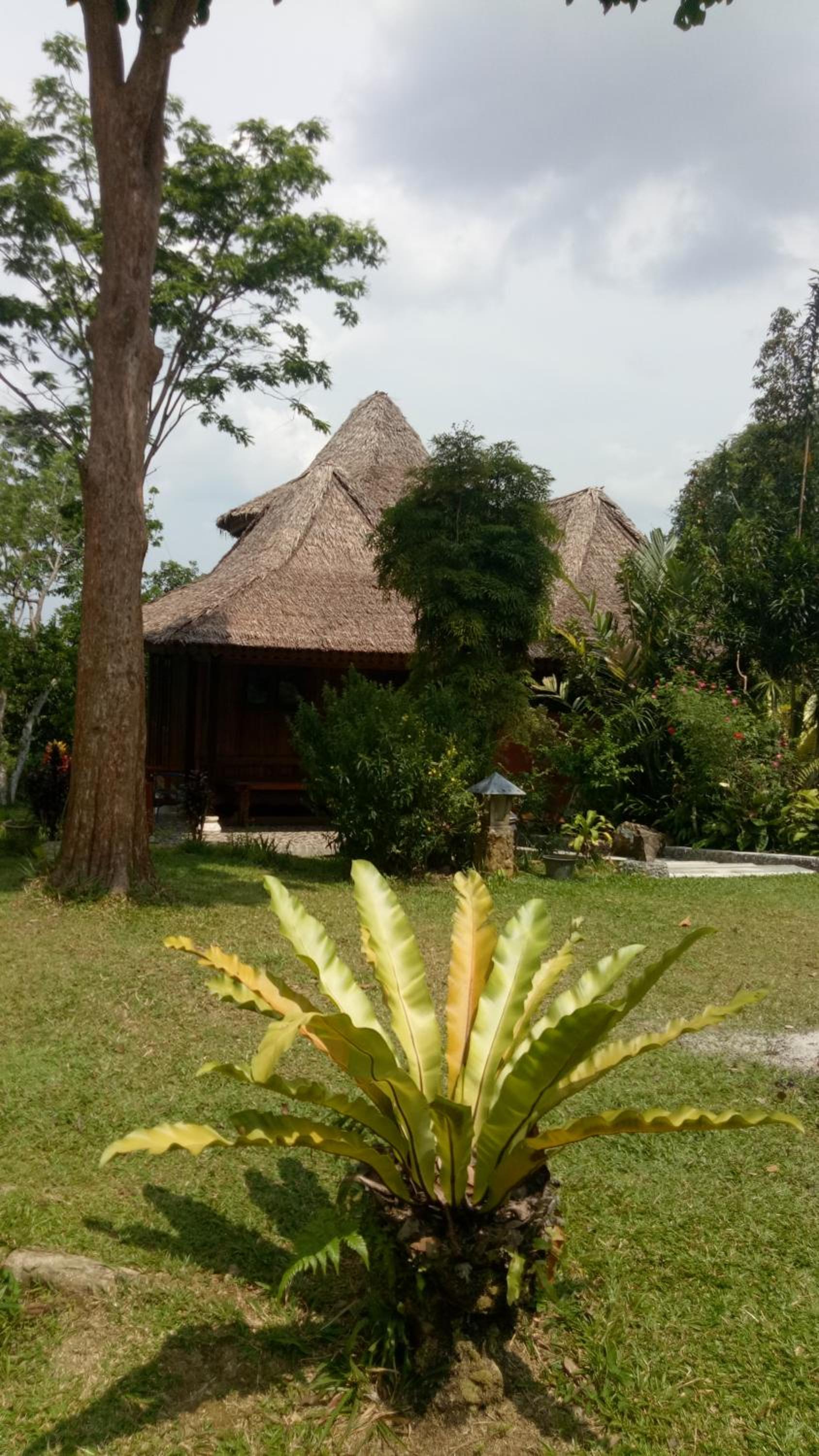 Three-Bedroom Villa - Photo 14
