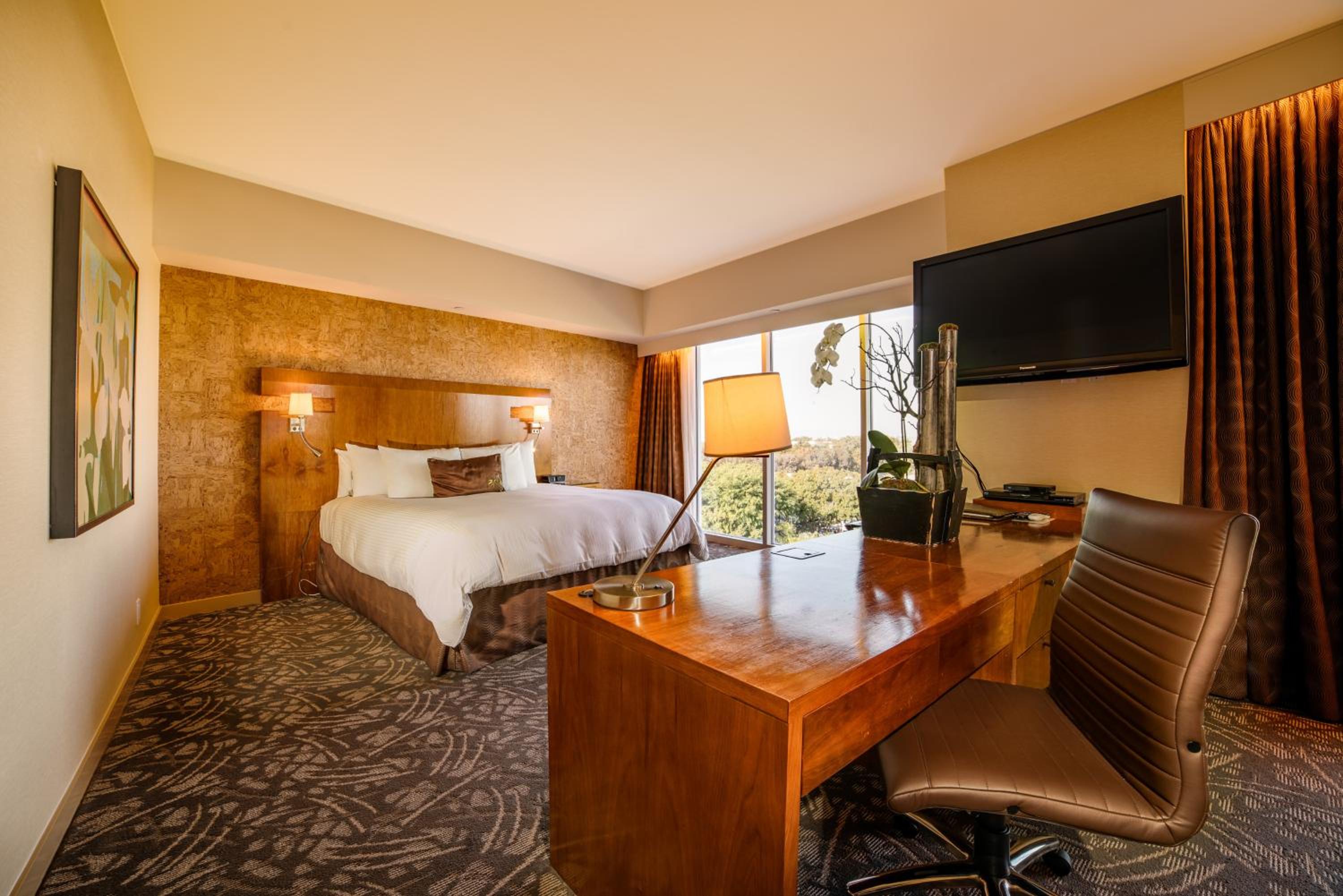 King Suite - Photo 4