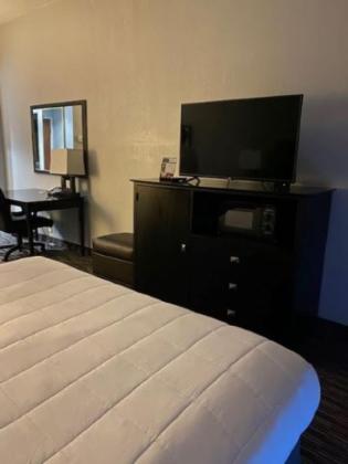 King Suite - Countryside - Photo 1