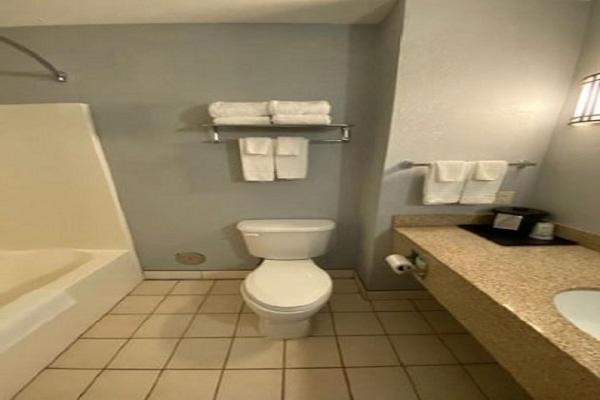 King Suite with Lake View - Non-Smoking - Photo 5