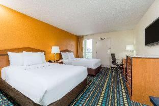 King Room with Mobility Access - Pet Friendly/Non-Smoking - Photo 1