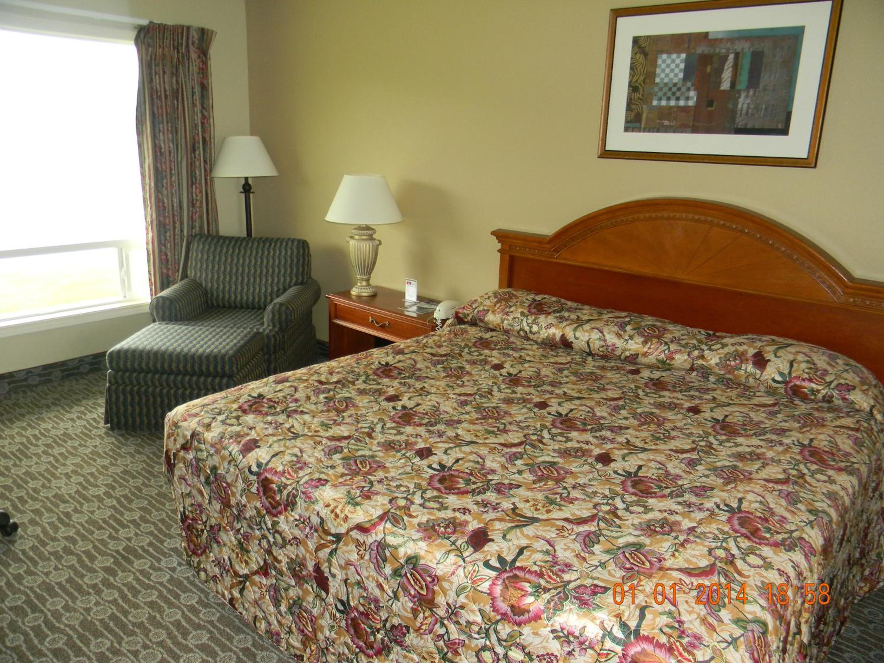 King Room photo 1