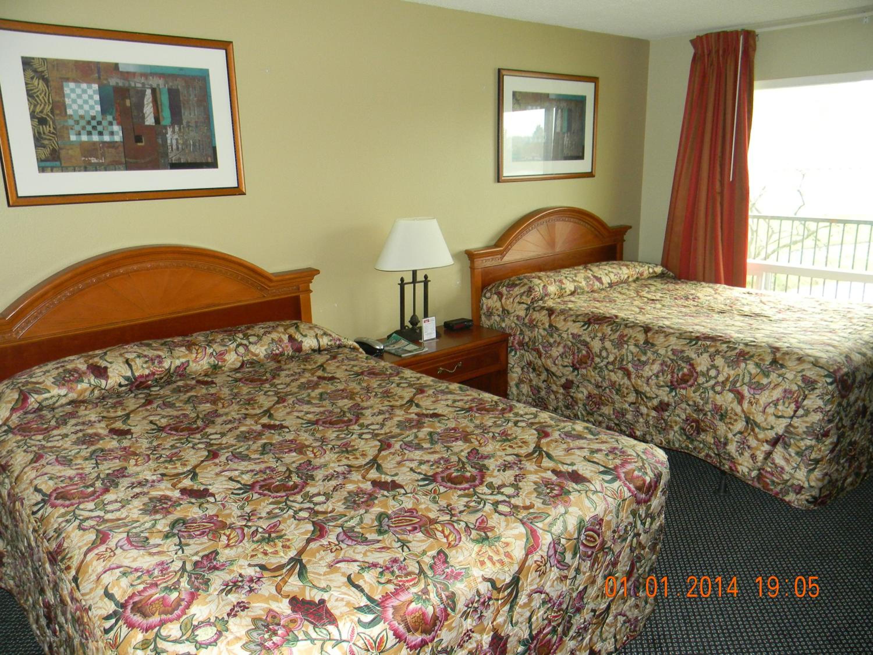Family Double Room photo 1