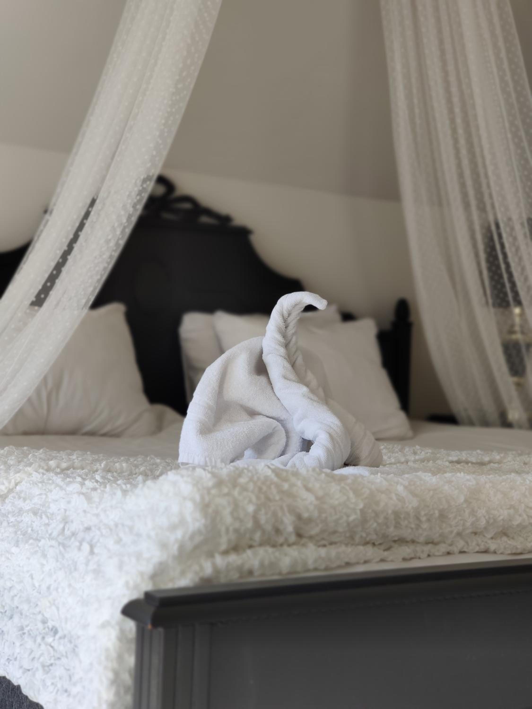 Deluxe Suite - Photo 8