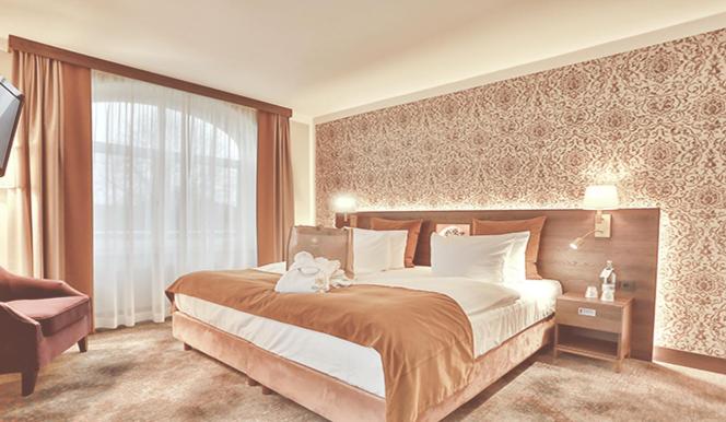 Deluxe Suite - Photo 4