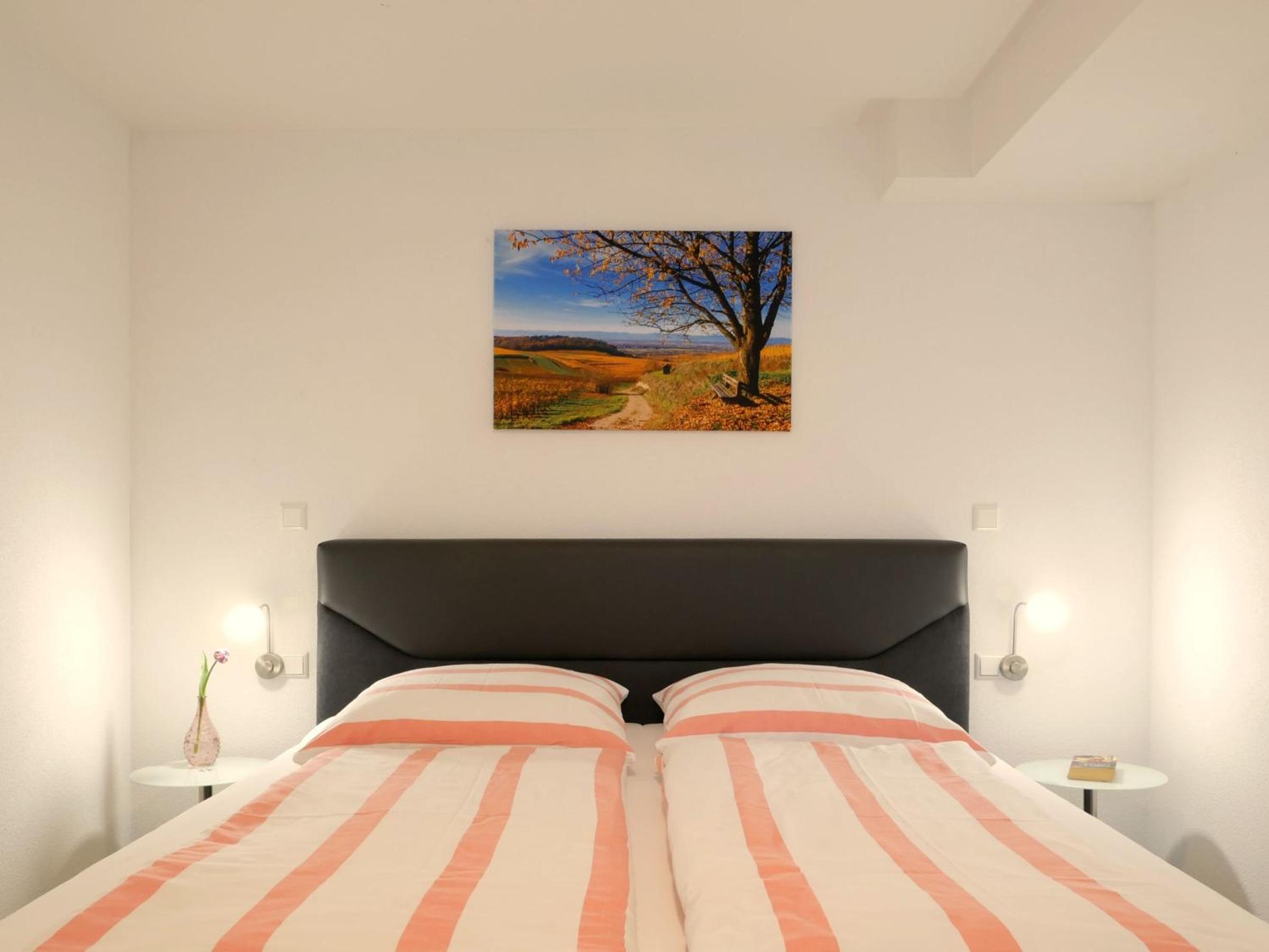 Apartment with Terrace photo 3