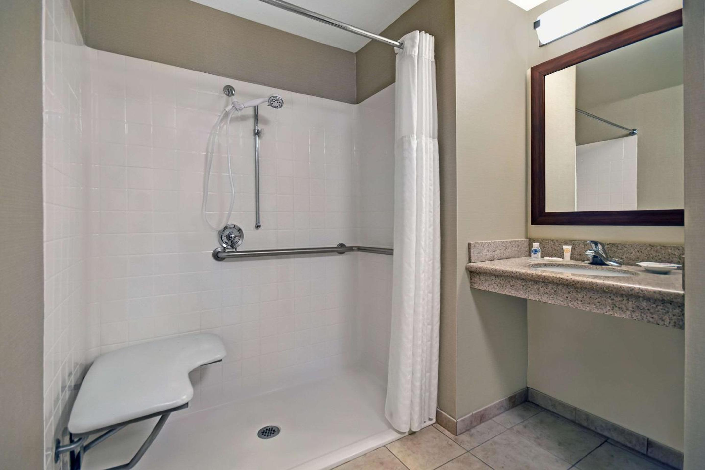 King Room with Roll-In Shower - Accessible/Non-Smoking photo 3