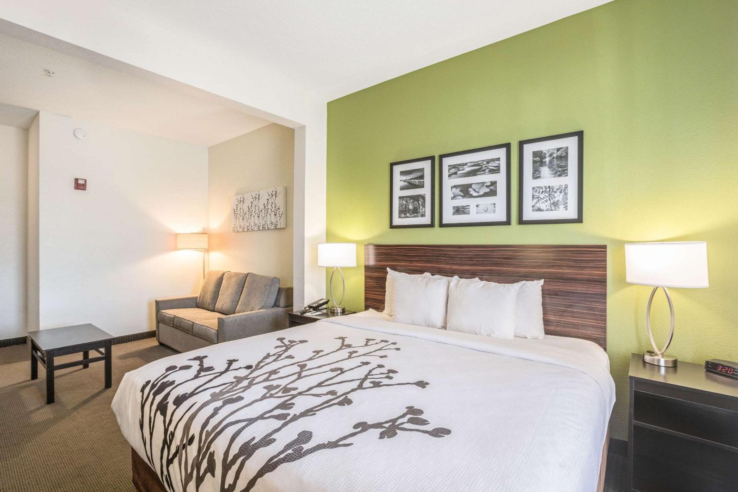 King Suite with Sofa Bed - Non-Smoking