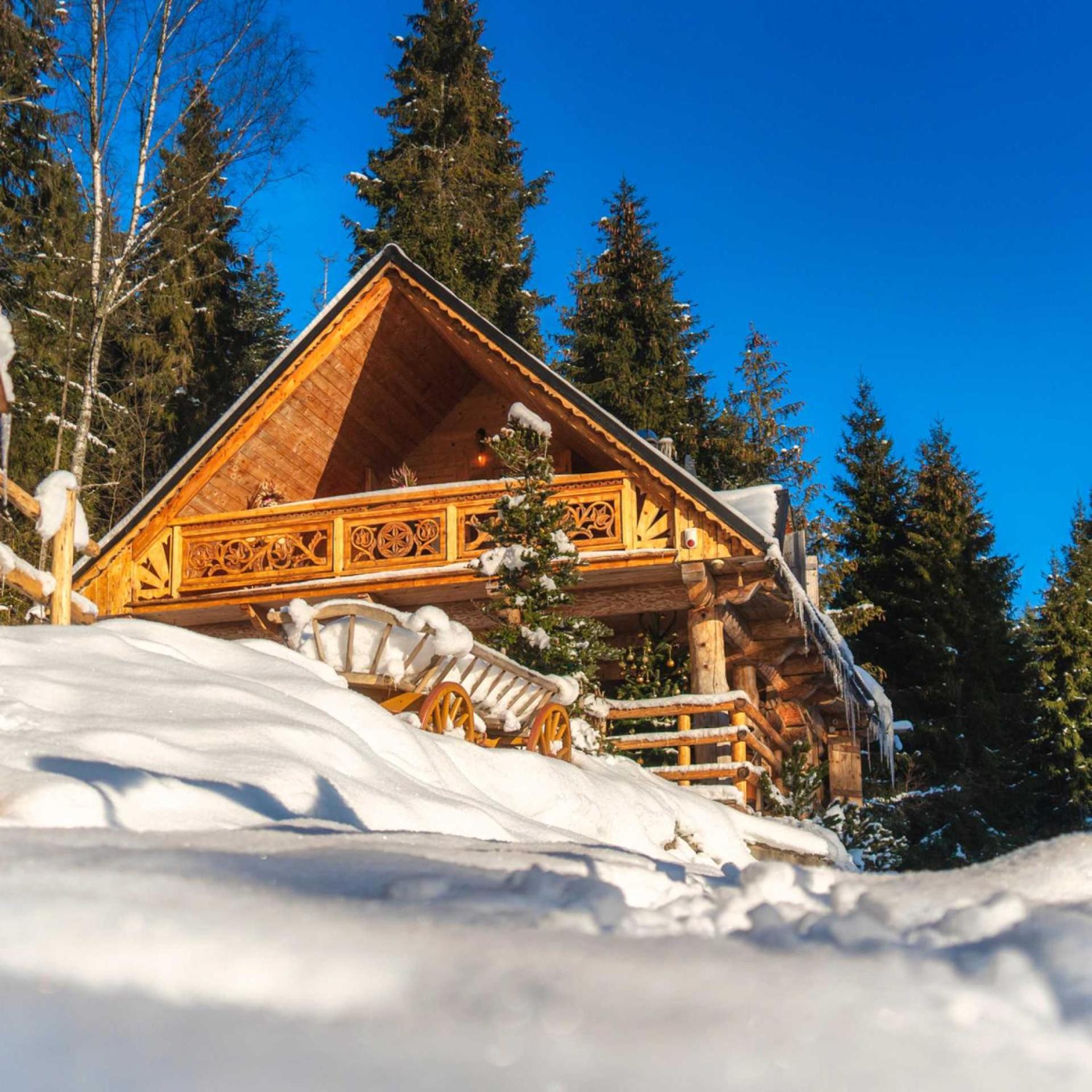 Two-Bedroom Chalet - Photo 3