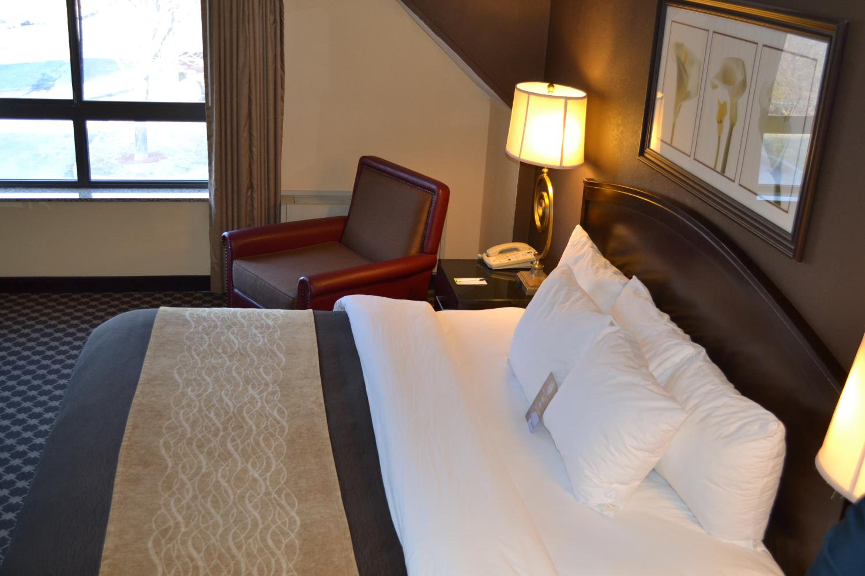 King Room - Non-Smoking - Photo 12