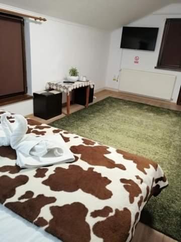 Standard Queen Room - Photo 3