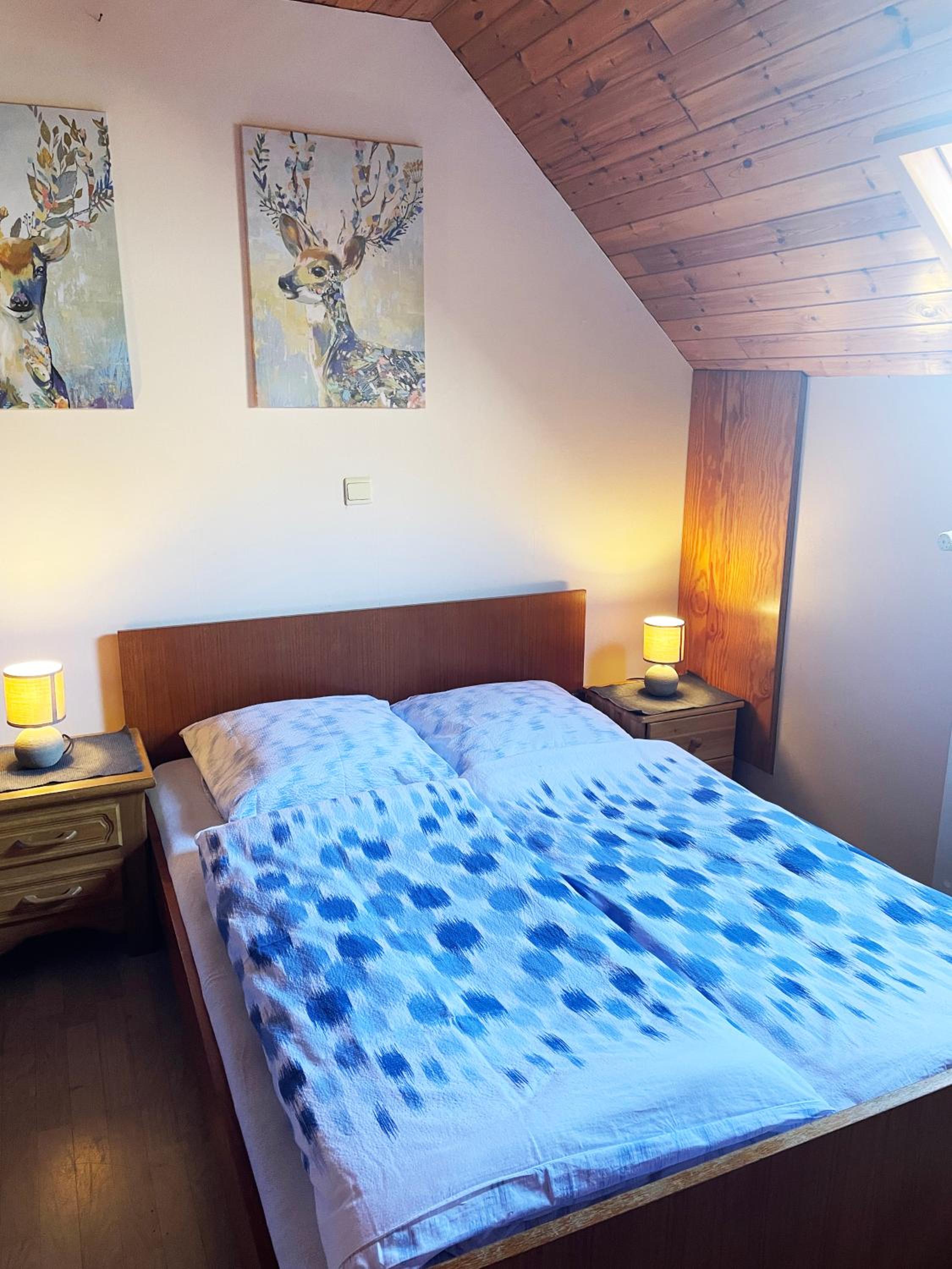 Apartment with Terrace photo 1