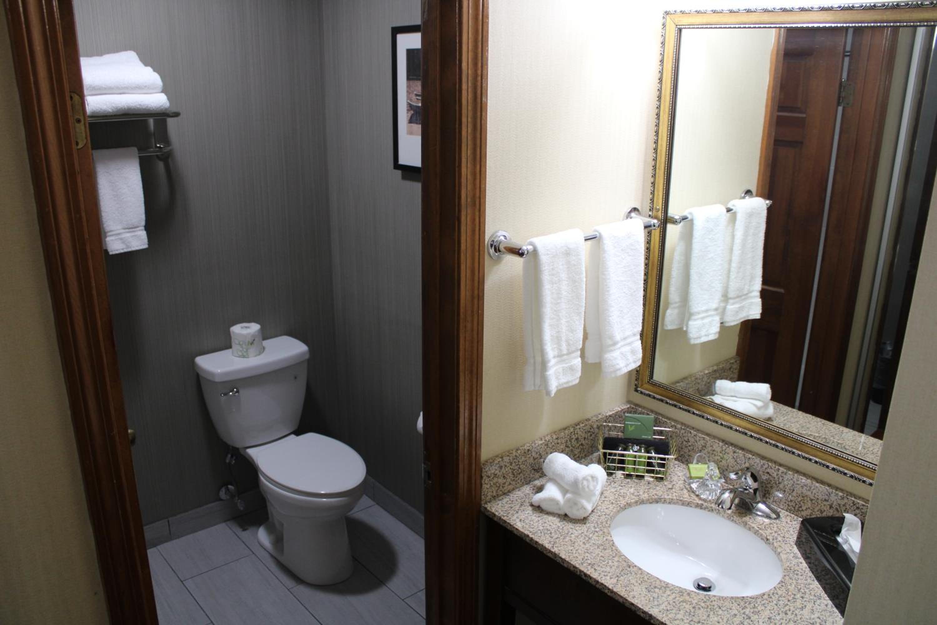Standard Room with King Bed - Photo 6