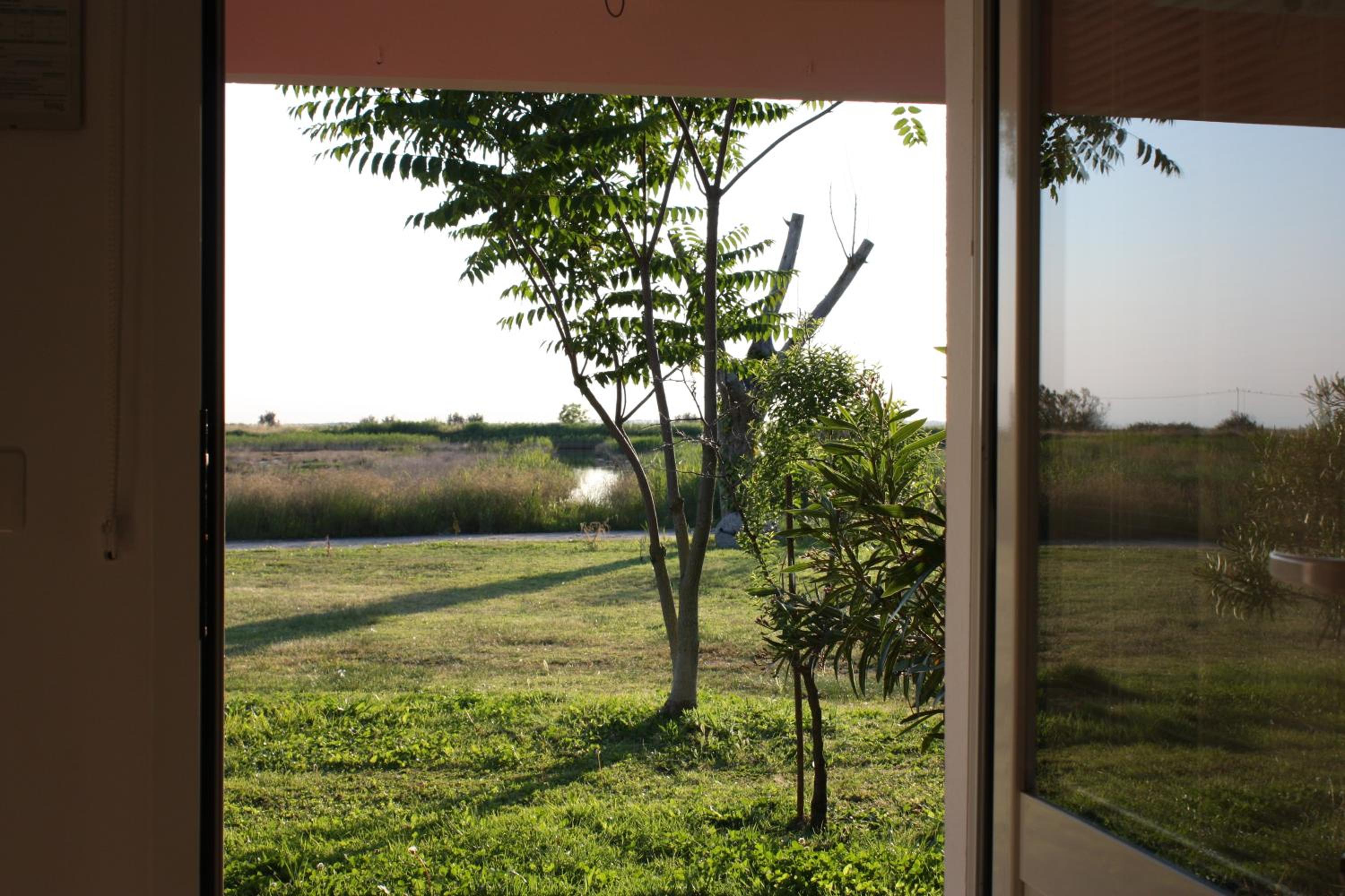 Studio with Garden View - Photo 3