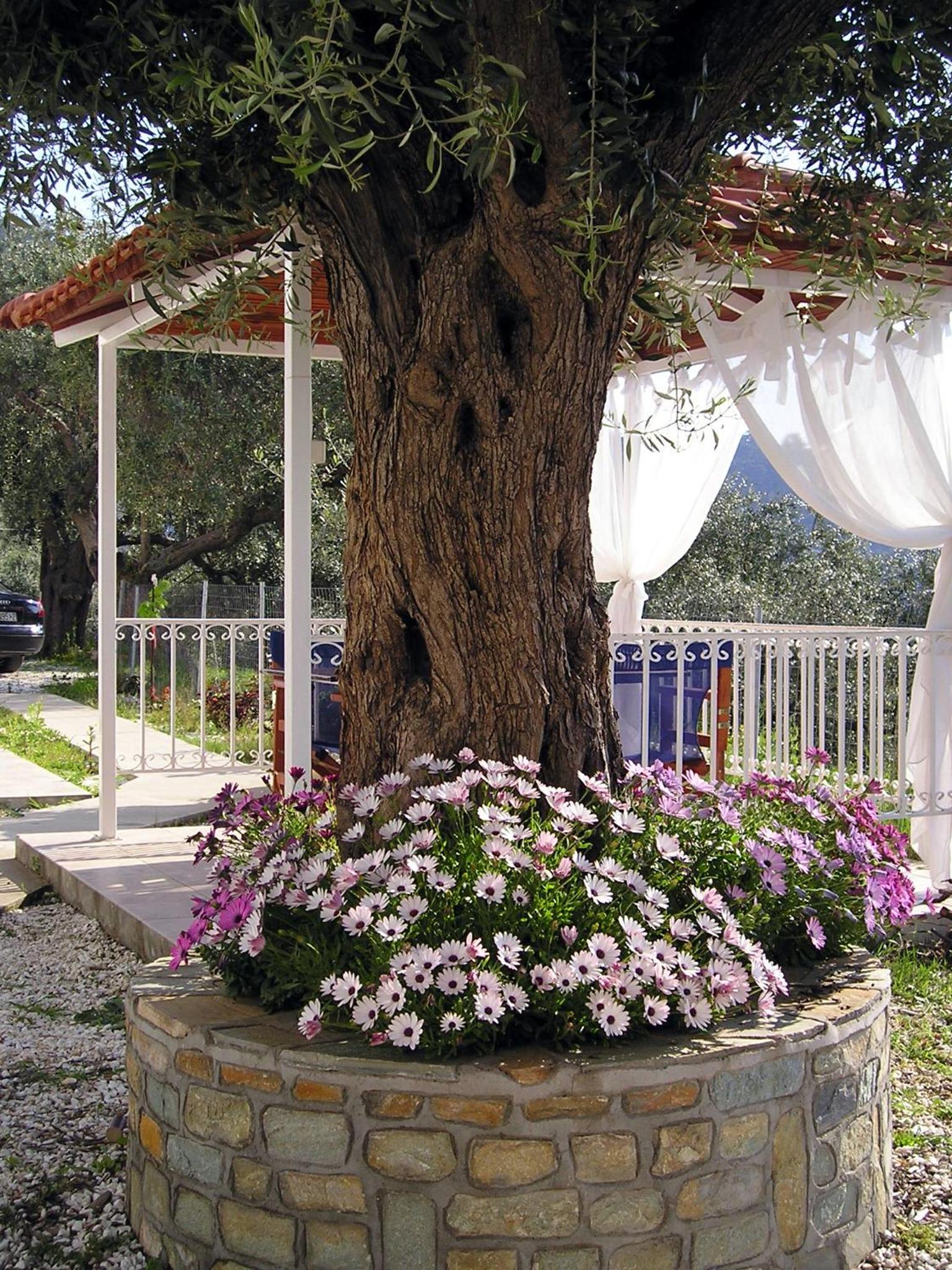 Maisonette - Photo 7